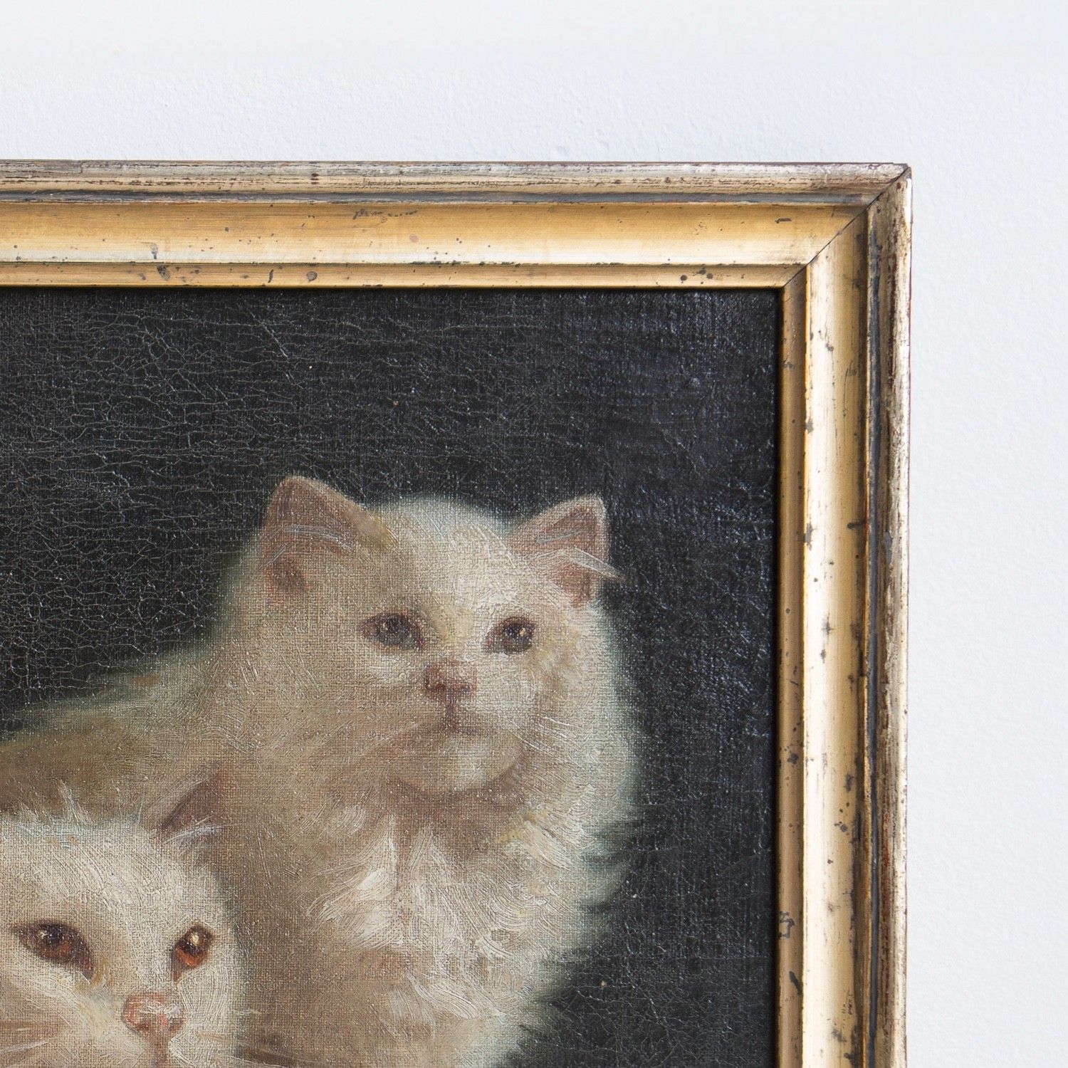 White Cat Portrait Original Antique Oil Painting, Attributed To Arthur Heyer photo Art