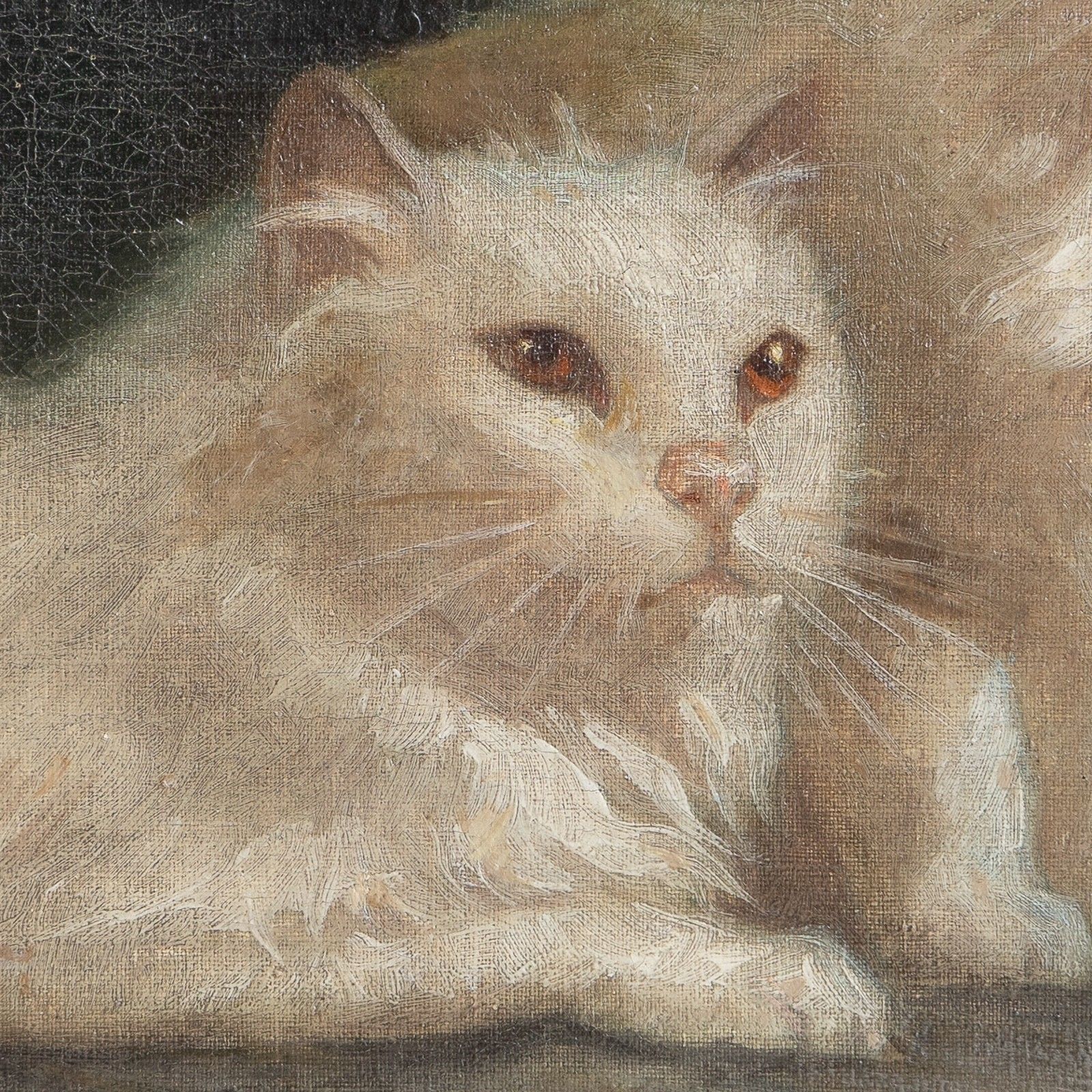White Cat Portrait Original Antique Oil Painting, Attributed To Arthur Heyer photo buy