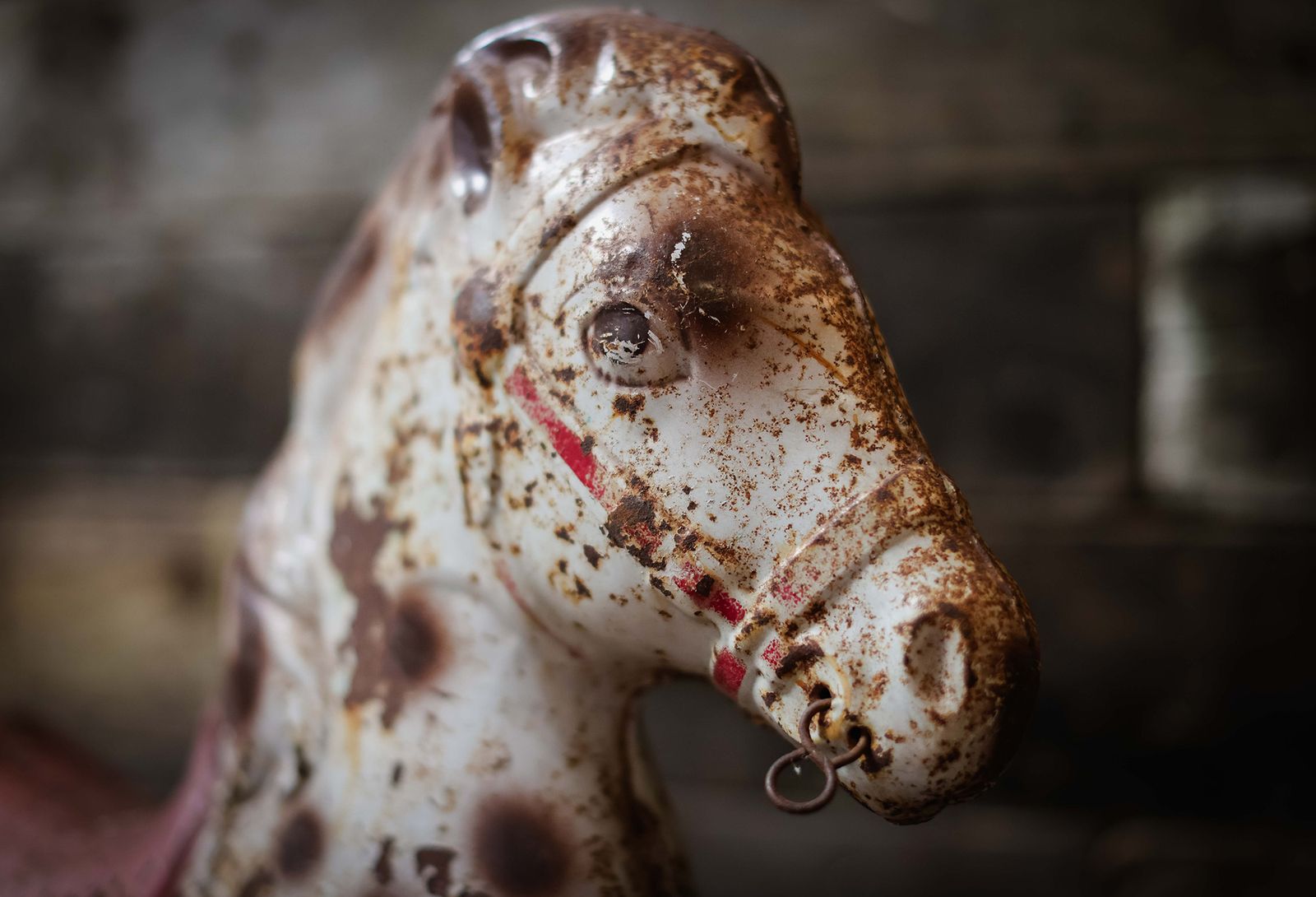Mobo Tin Horse photo for sale