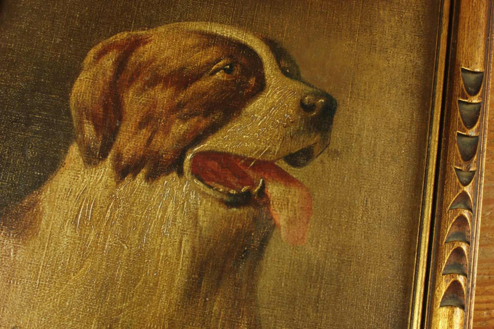 Art Antique St Bernard Oil Painting. Framed Lm Webb Signed Dog Portrait. 1929. photo