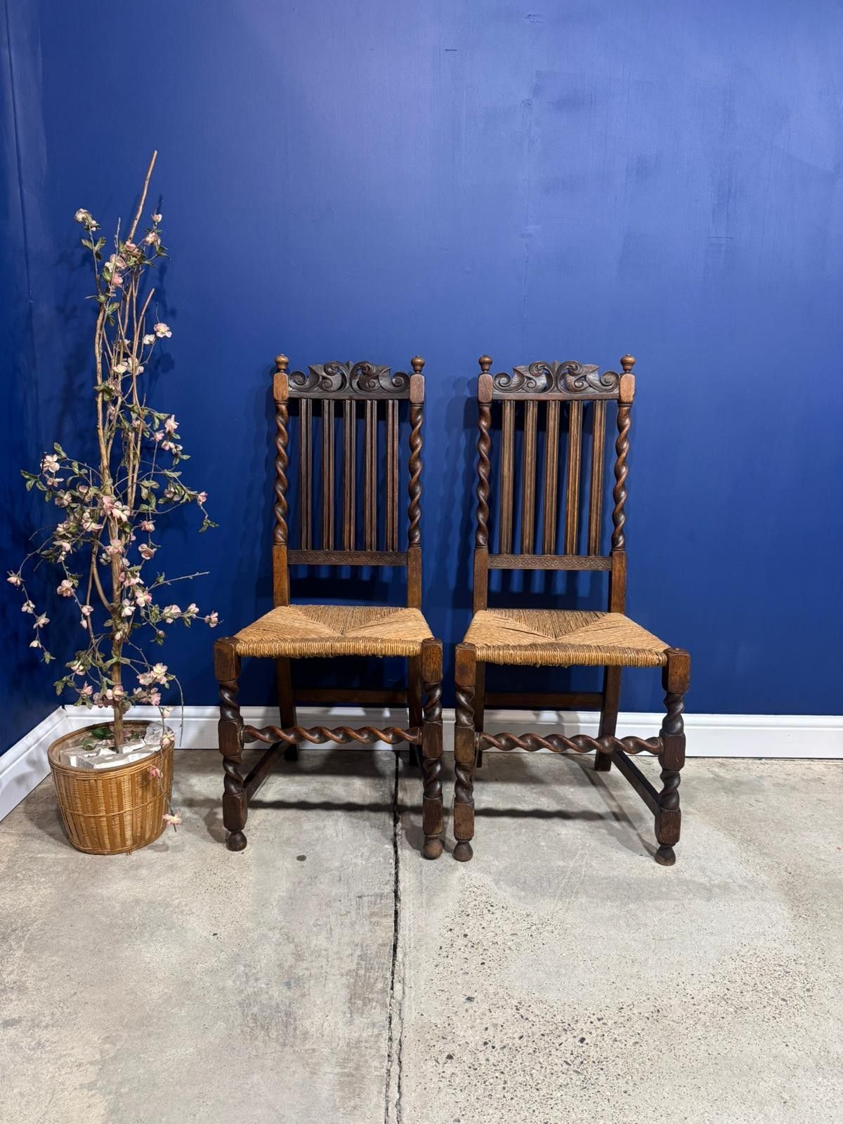 Victorian Barley Twist Chairs With Reed Seat Base Antique Vintage Ornate Dining