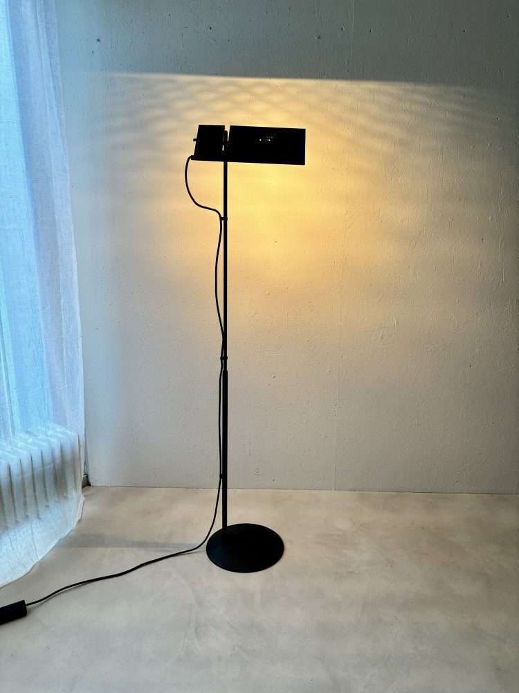 photo furniture Duna Floor Lamp Barbaglia And Colombo For Paf Studios 1980s