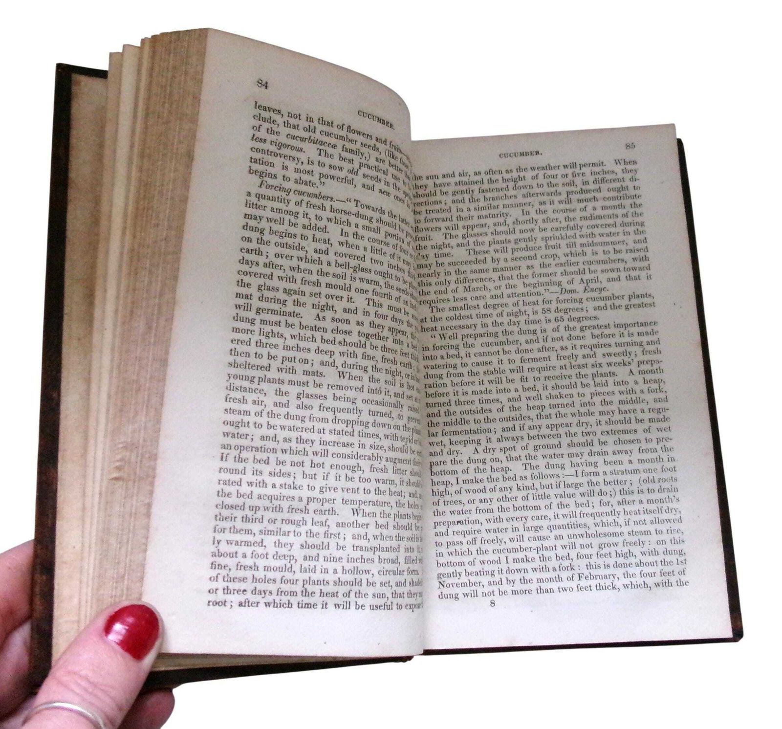 1828 Horticulture Book: New American Gardener, Thomas Fessenden, Full Leather Georgian photo vintage