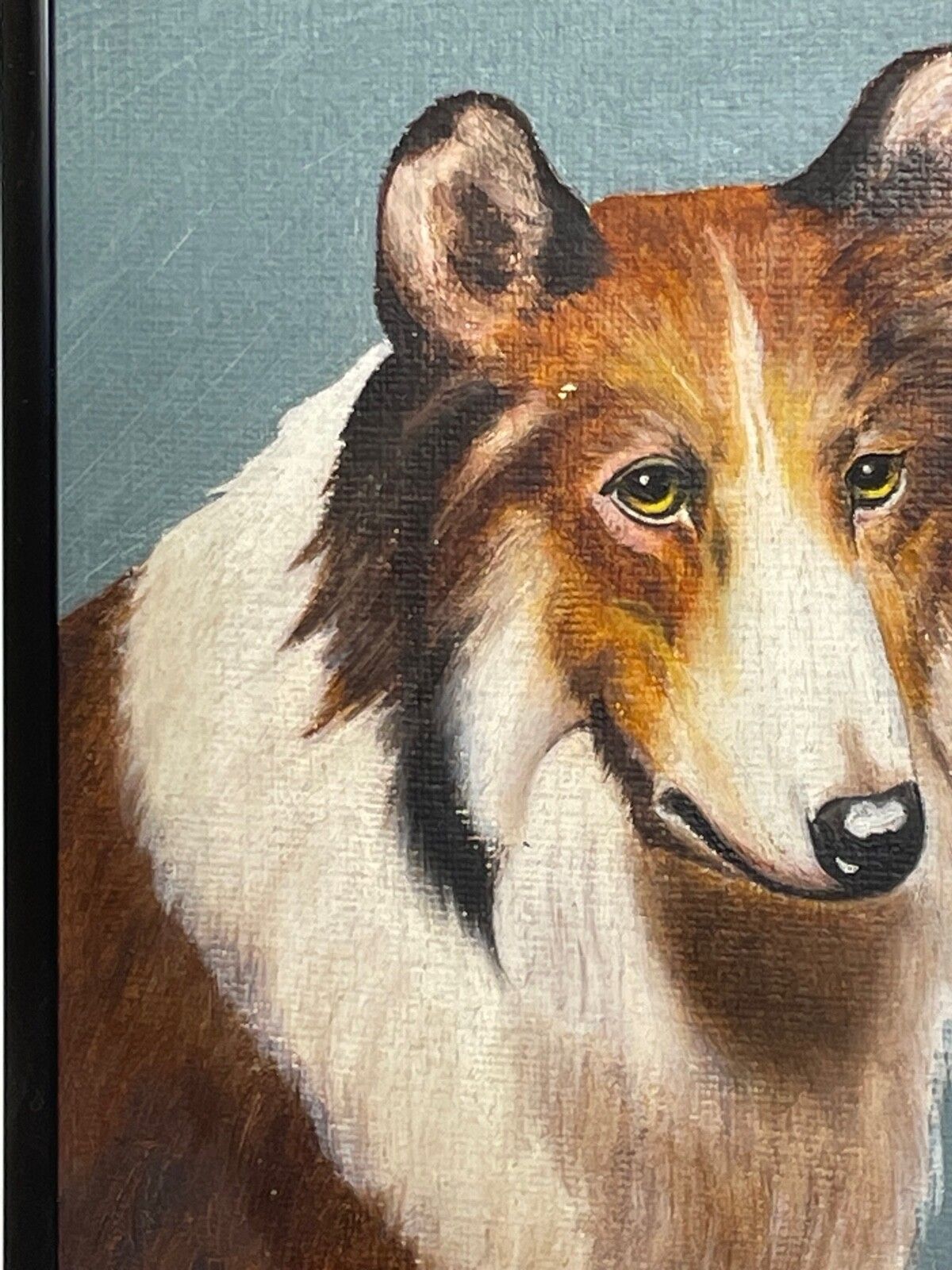 Oil Painting Portrait Scottish Rough Collie Dogs Follower Benedict Angell Hyland photo 2600.0