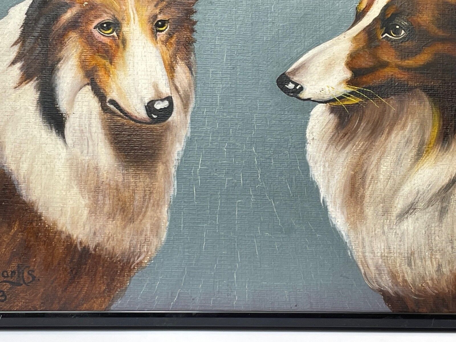 Oil Painting Portrait Scottish Rough Collie Dogs Follower Benedict Angell Hyland photo buy