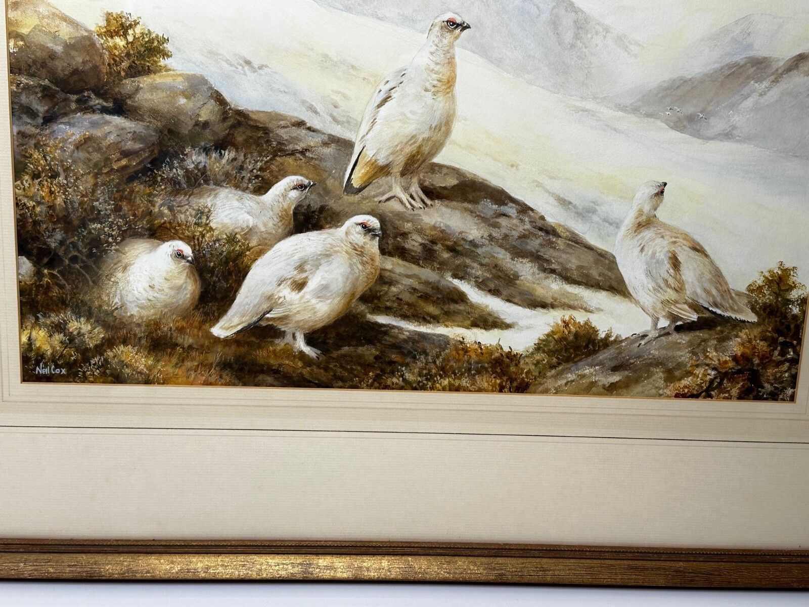 British Painting Highland Moors Wildlife Covey Of Ptarmigan Game Birds On Alert photo vintage