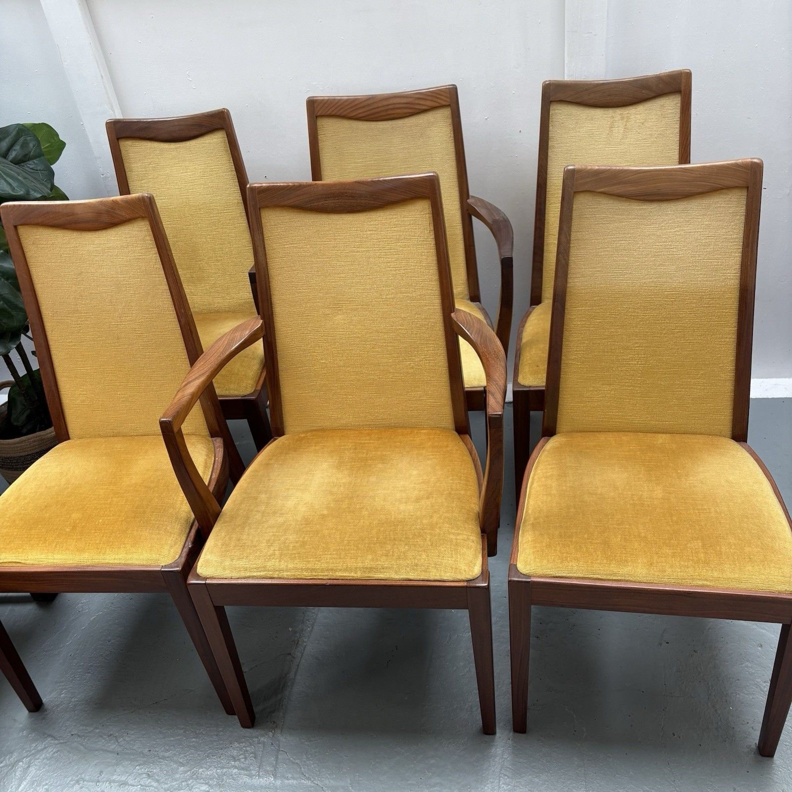 6 Mid Century Teak & Mustard Fabric G Plan Dining Chairs By Leslie Dandy 1960s