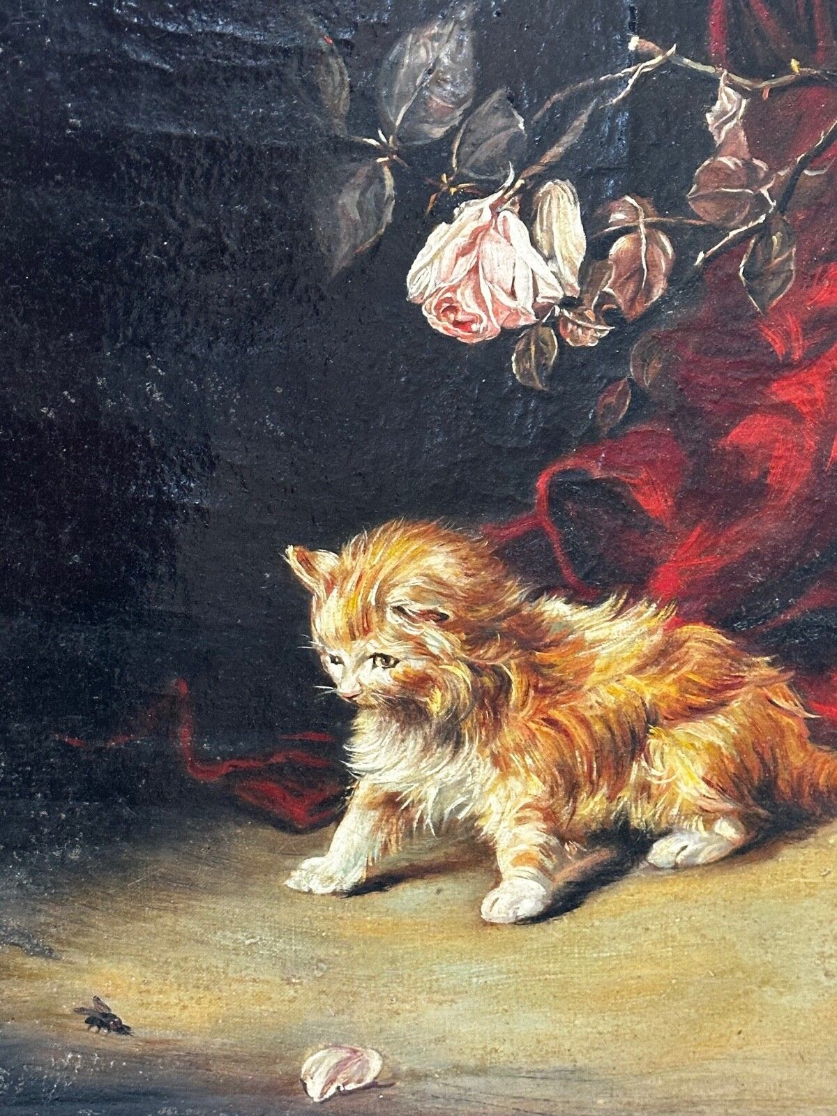 Oil Painting Kitten Patience Hunting Fly By Francisco José Domingo Y Marqués photo Art