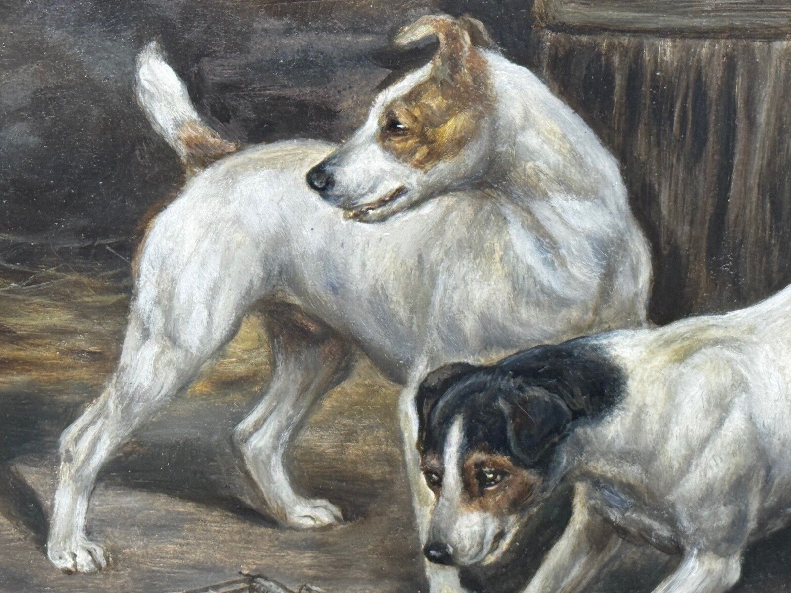 photo buy 🐾 Victorian Masterpiece Rat Trapped Jack Russell Terriers Guarding C1880