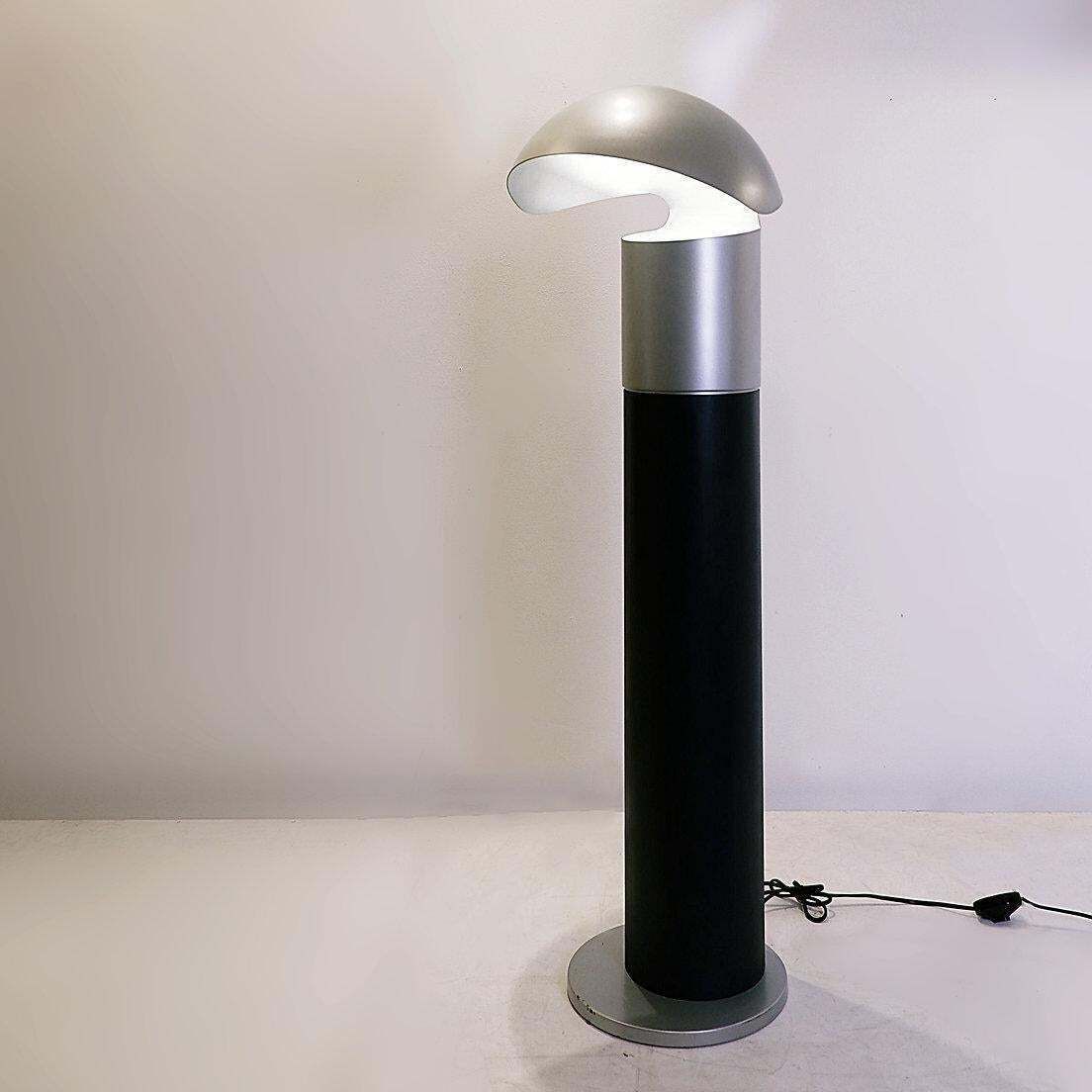 Metal Lacquered Floor Lamp Franco Buzzi Ceriani Style photo Lighting