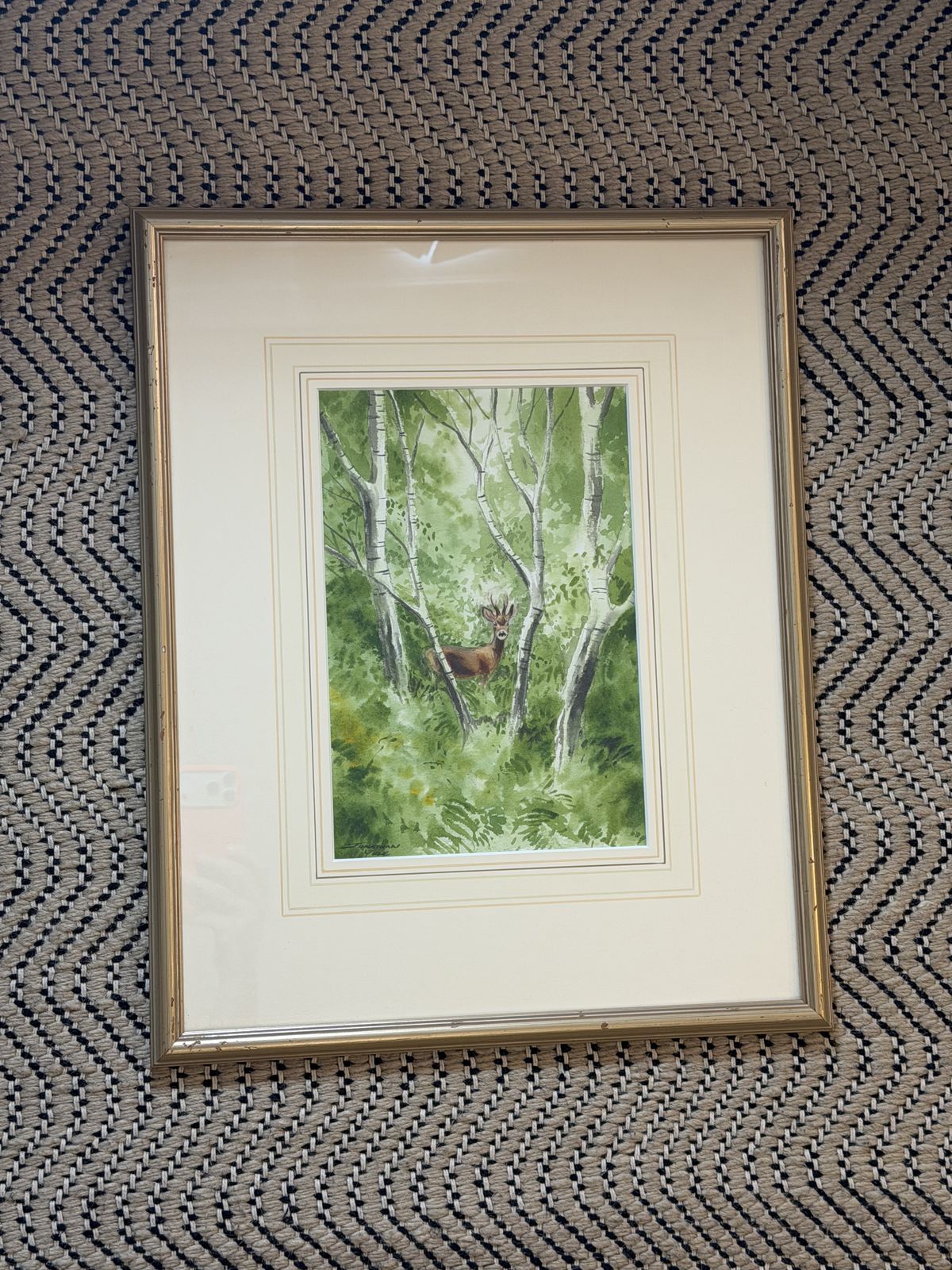 Jonathan Yule Signed Watercolour Roe Deer In Woodlands Framed Picture photo Art