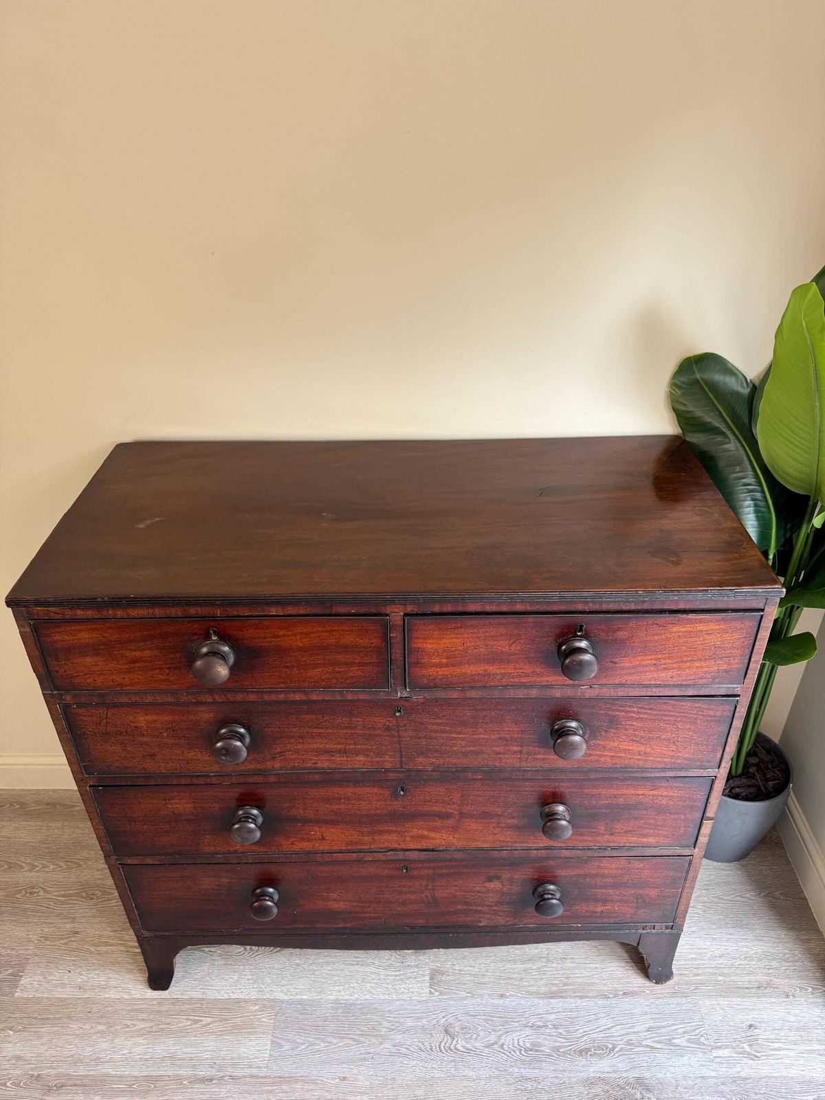 Antique Large Chest Of Drawers Mahogany 2 Over 3 Upon Original Handles Dark Wood photo furniture