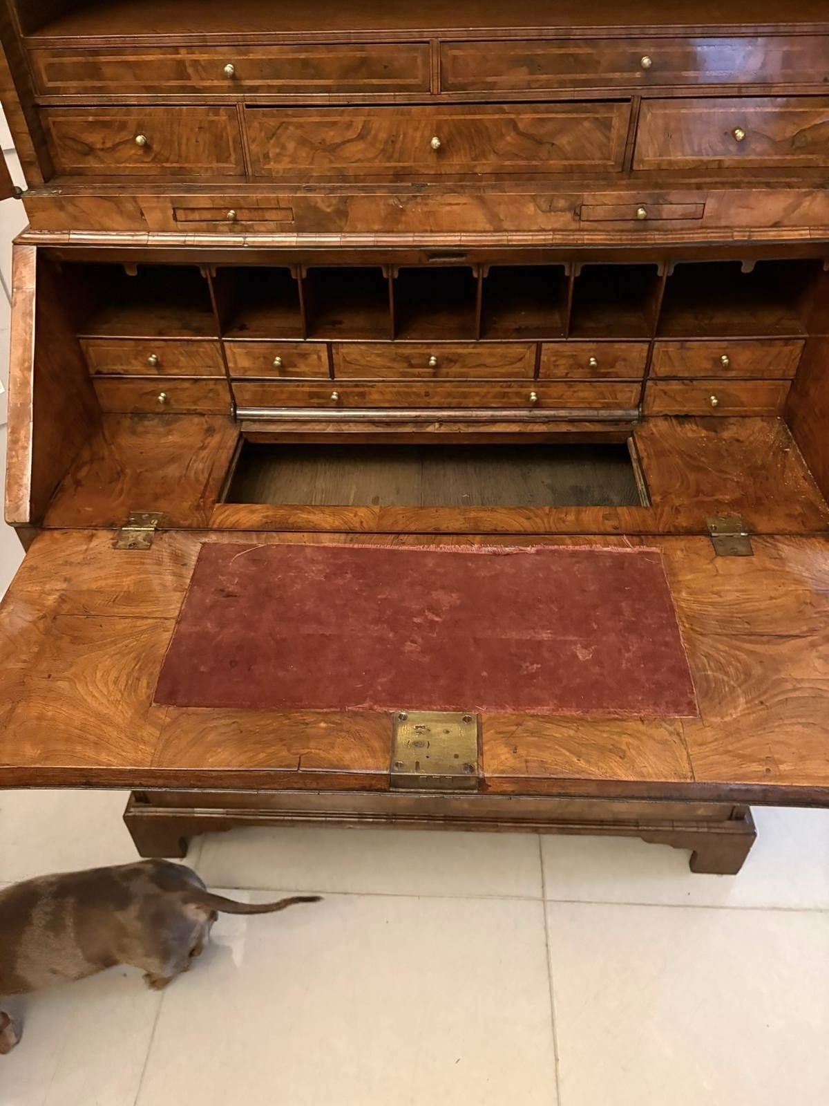 Furniture Antique Exceptional 18th Century George I Figured Walnut Bookcase photo