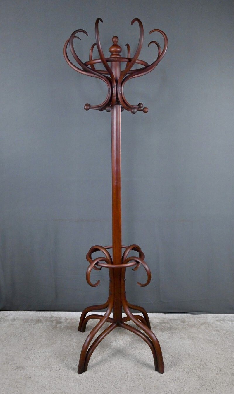 Large Parrot Coat Rack In Bent Beechwood, Thonet Style – Early 20th Century photo 1711.0