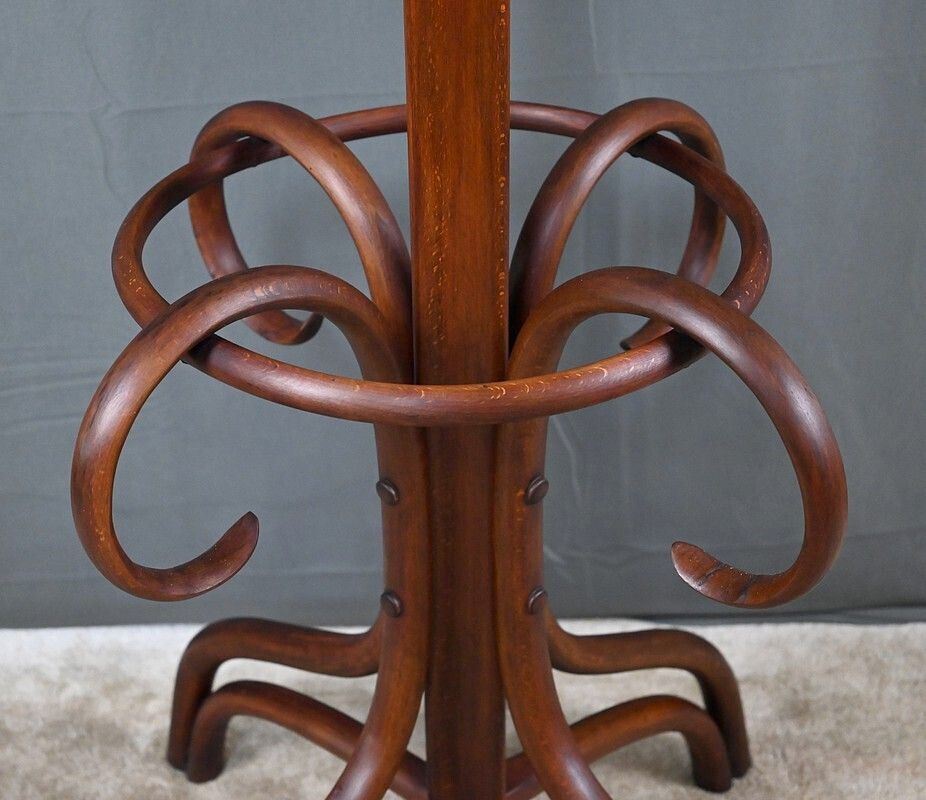 Large Parrot Coat Rack In Bent Beechwood, Thonet Style – Early 20th Century photo vintage