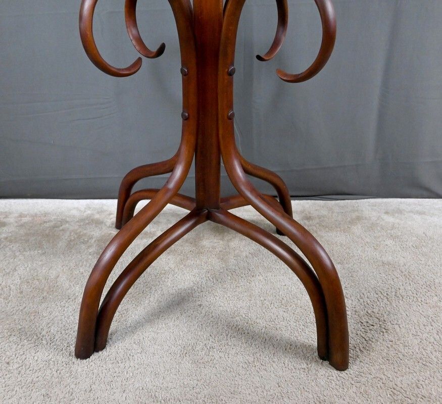 photo for sale Large Parrot Coat Rack In Bent Beechwood, Thonet Style – Early 20th Century