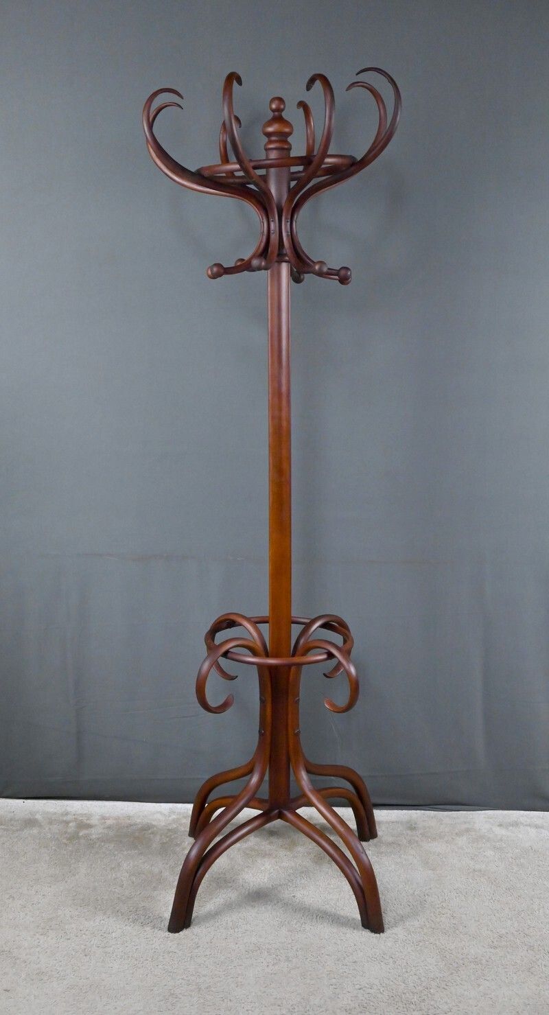 Furniture Large Parrot Coat Rack In Bent Beechwood, Thonet Style – Early 20th Century photo