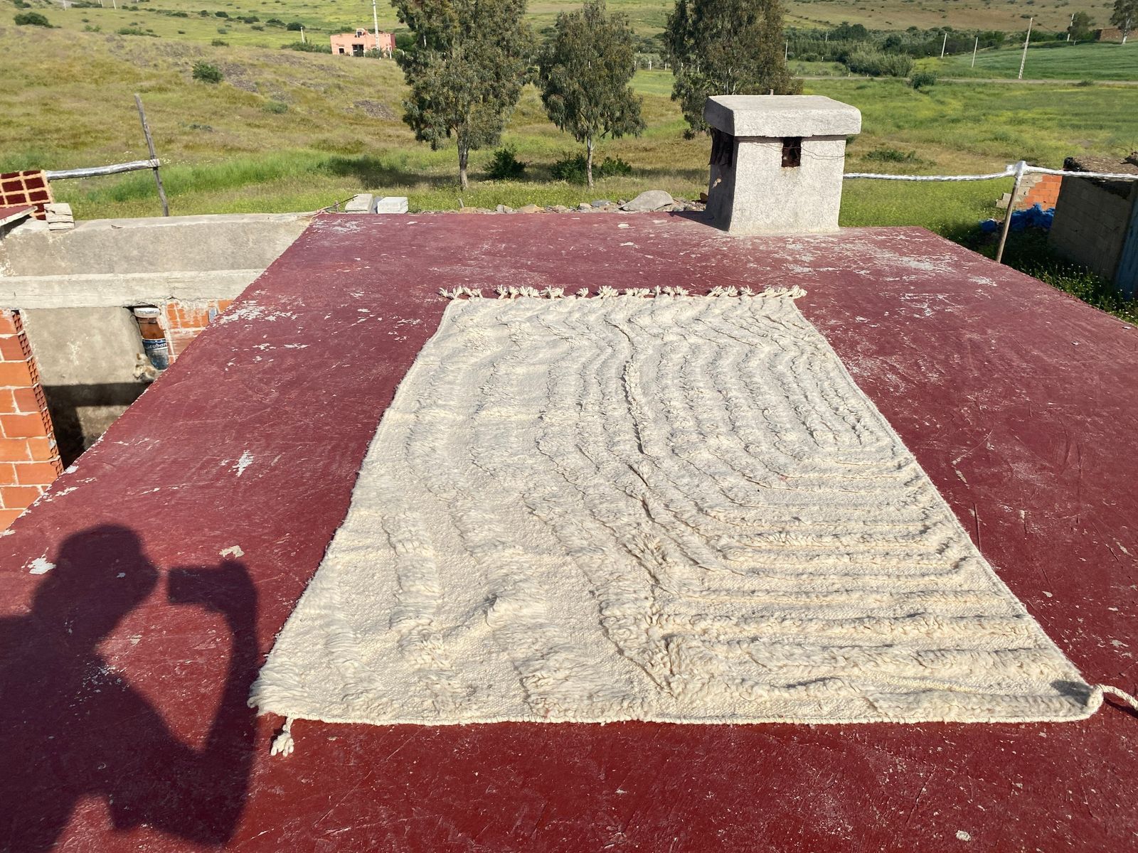 photo for sale Minimalist Beni Ourain Moroccan Rug – Cream Textured Wool Carpet – 250 X 150 Cm