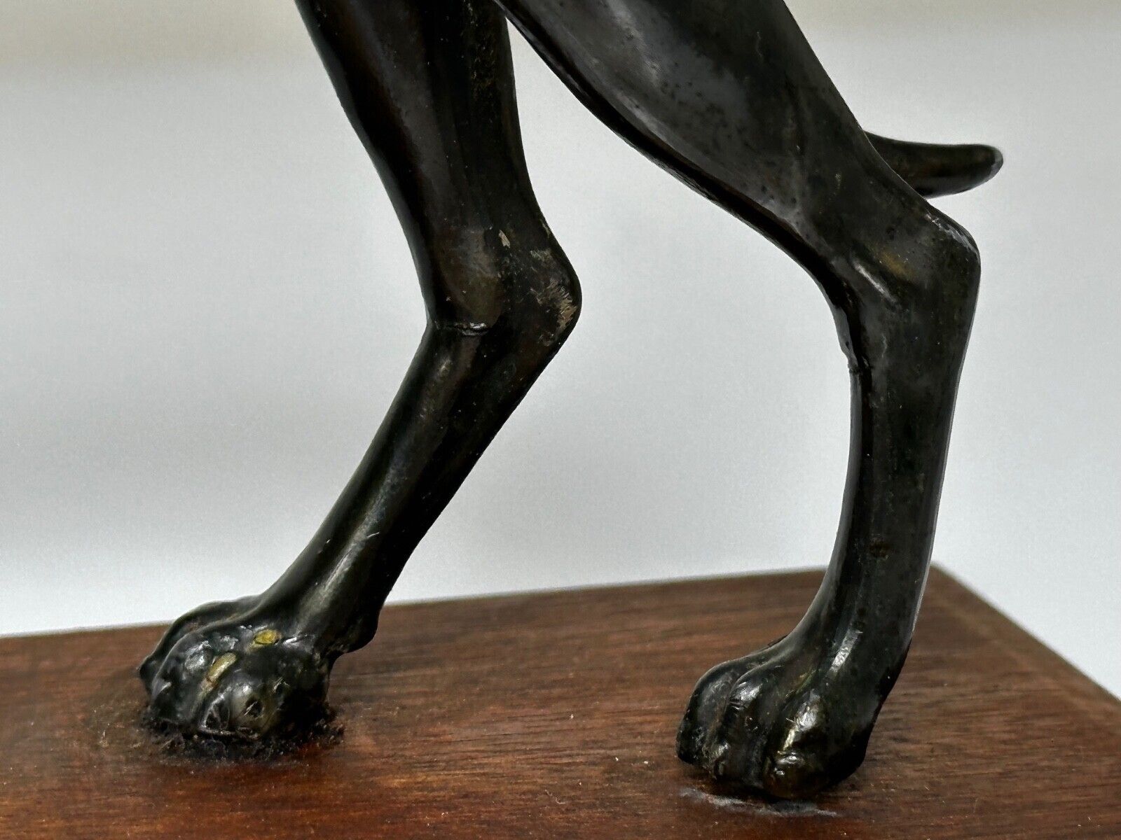 Small British Art Deco Sporting Prized Racing Greyhound Stud Bronze Sculpture photo 1925.0
