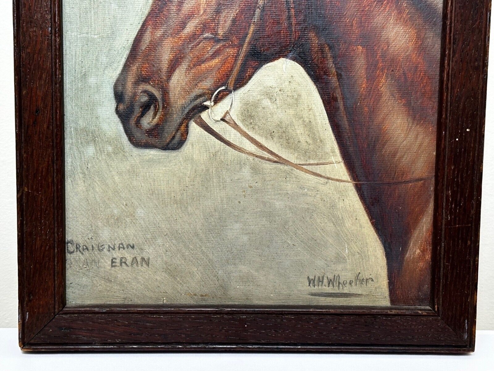 Equestrian Oil Portrait Of Champion Racehorse Craig An Eran By Walter Herbert Wheeler photo 2945.0