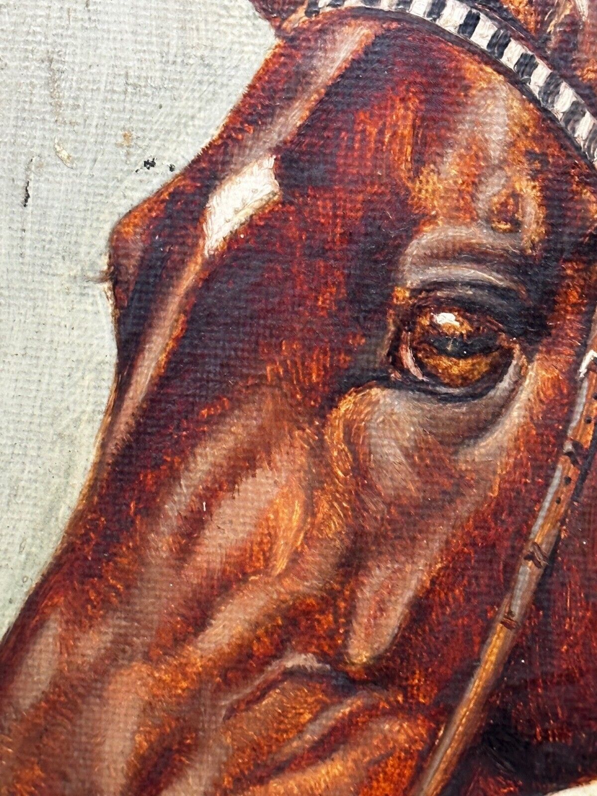 photo vintage Equestrian Oil Portrait Of Champion Racehorse Craig An Eran By Walter Herbert Wheeler