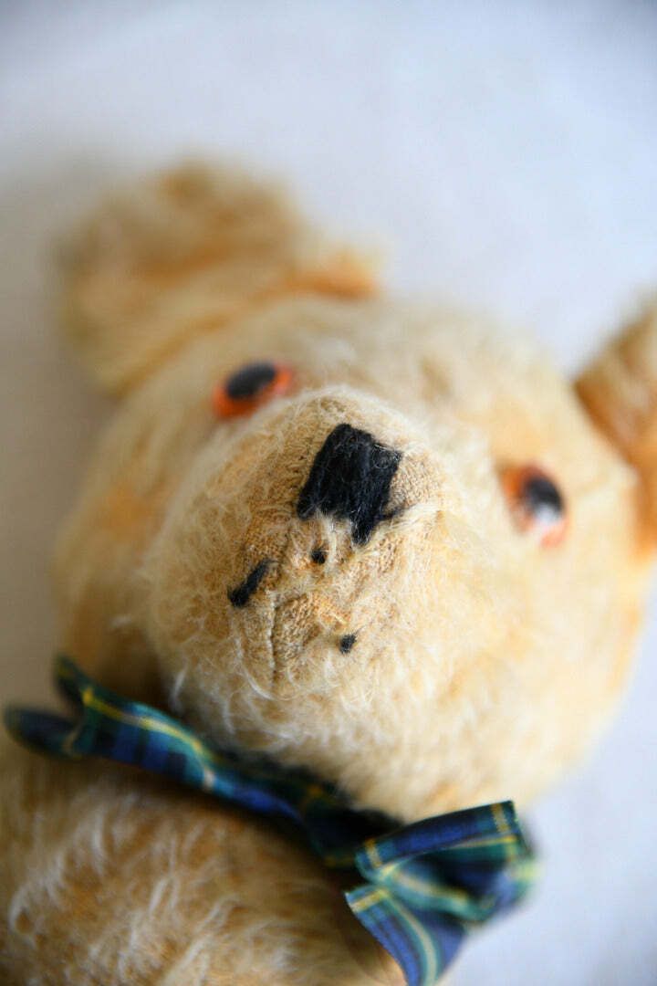 Vintage Mohair Teddy Bear, Mid 20th Century photo Home Decor