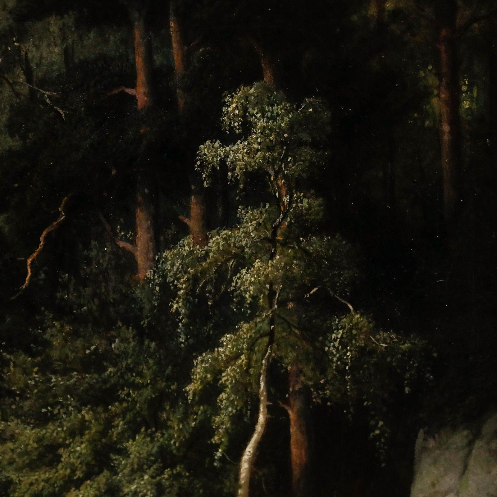 German School 19th Century Oil Angler In The Forest photo 695.0