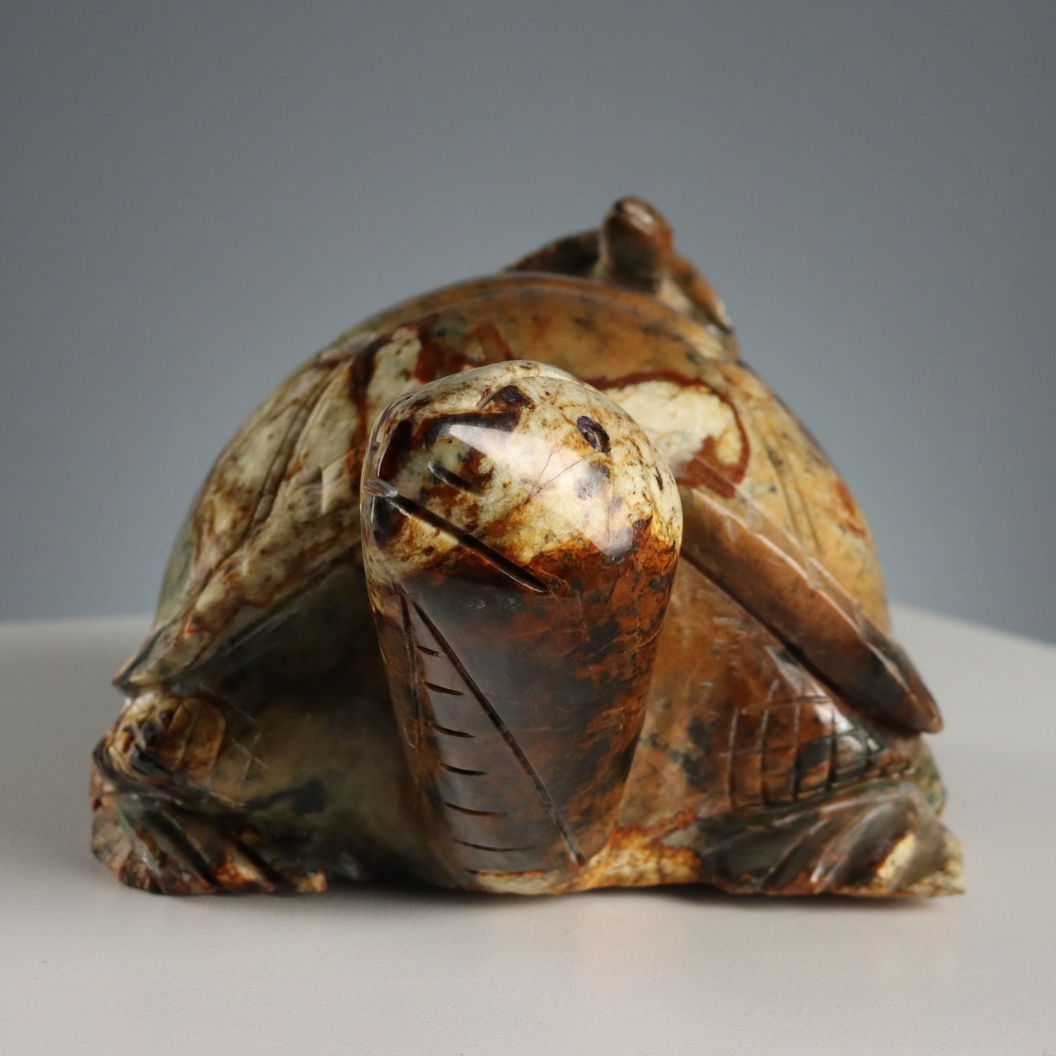 Modern Sculpture Turtle Hard Stone Italy XX Century photo vintage