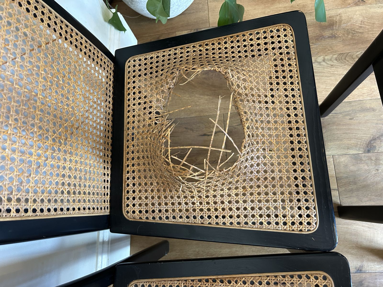 Terence Conran For Habitat Ebonised Rattan 1980s Chairs photo for sale