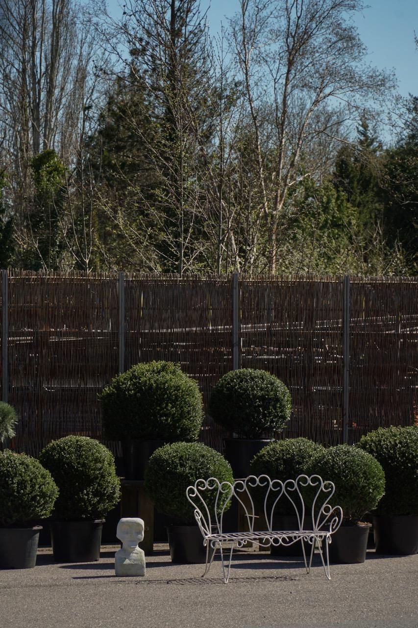 photo furniture Mid 20th Century, Decorative French Wrought Iron Garden Bench, 1950s