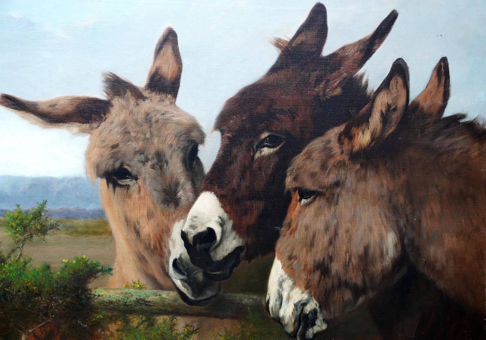 Portrait Of Donkeys In A Landscape   British Victorian Art Animal Oil Painting photo Art