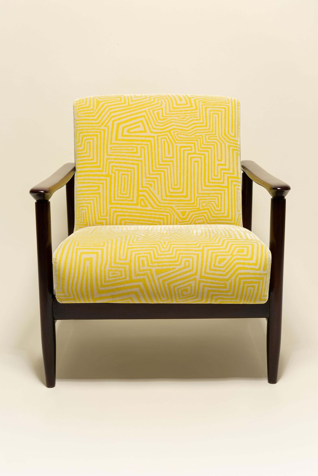 Two Midcentury Gfm142 Armchairs, Jamujungle Velvet, Dedar, E. Homa, Europe, 1960 photo vinterior