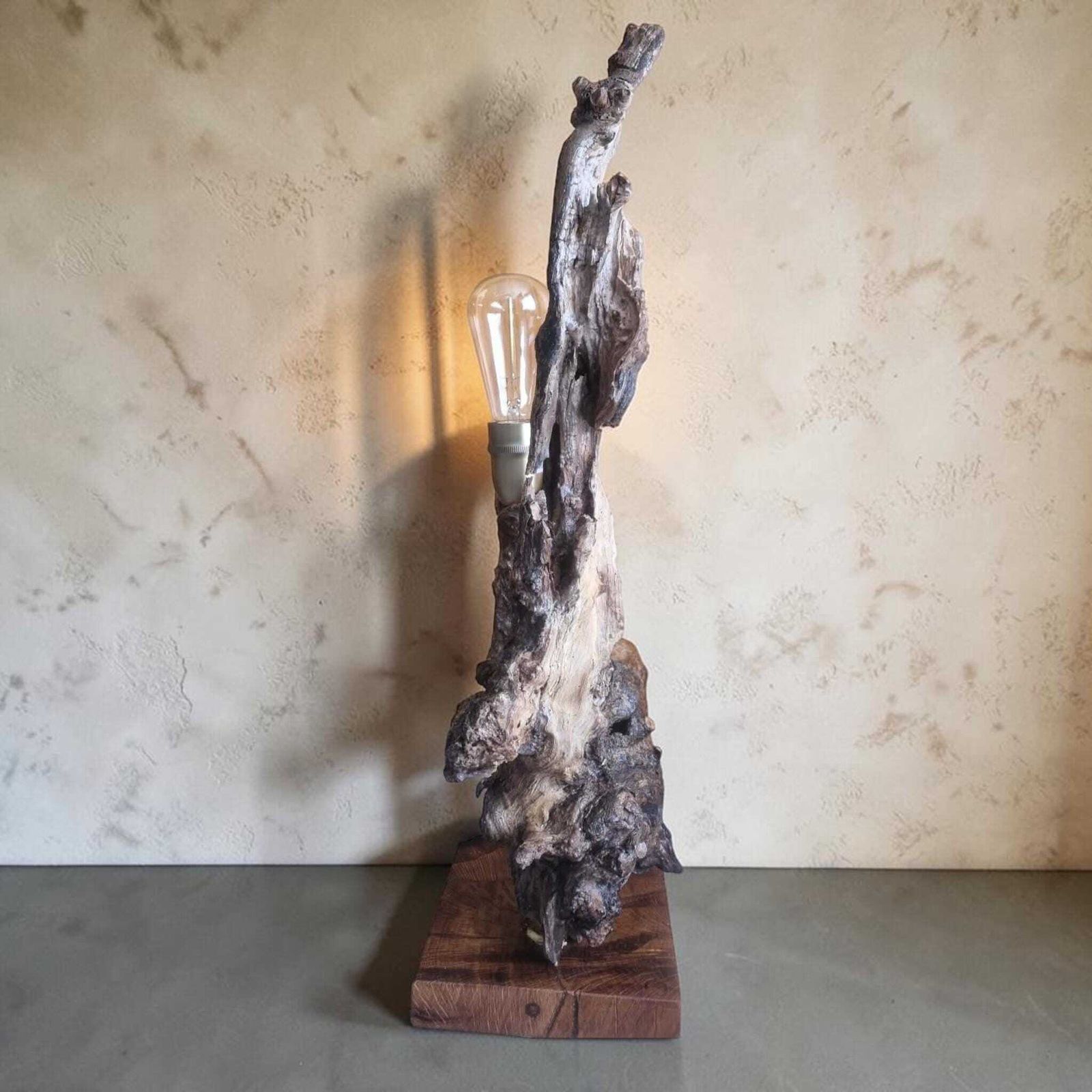 Handmade Elderberry Wood Lamp – One Of A Kind Sculptural Table Light – Rustic Wabi Sabi Decor photo for sale