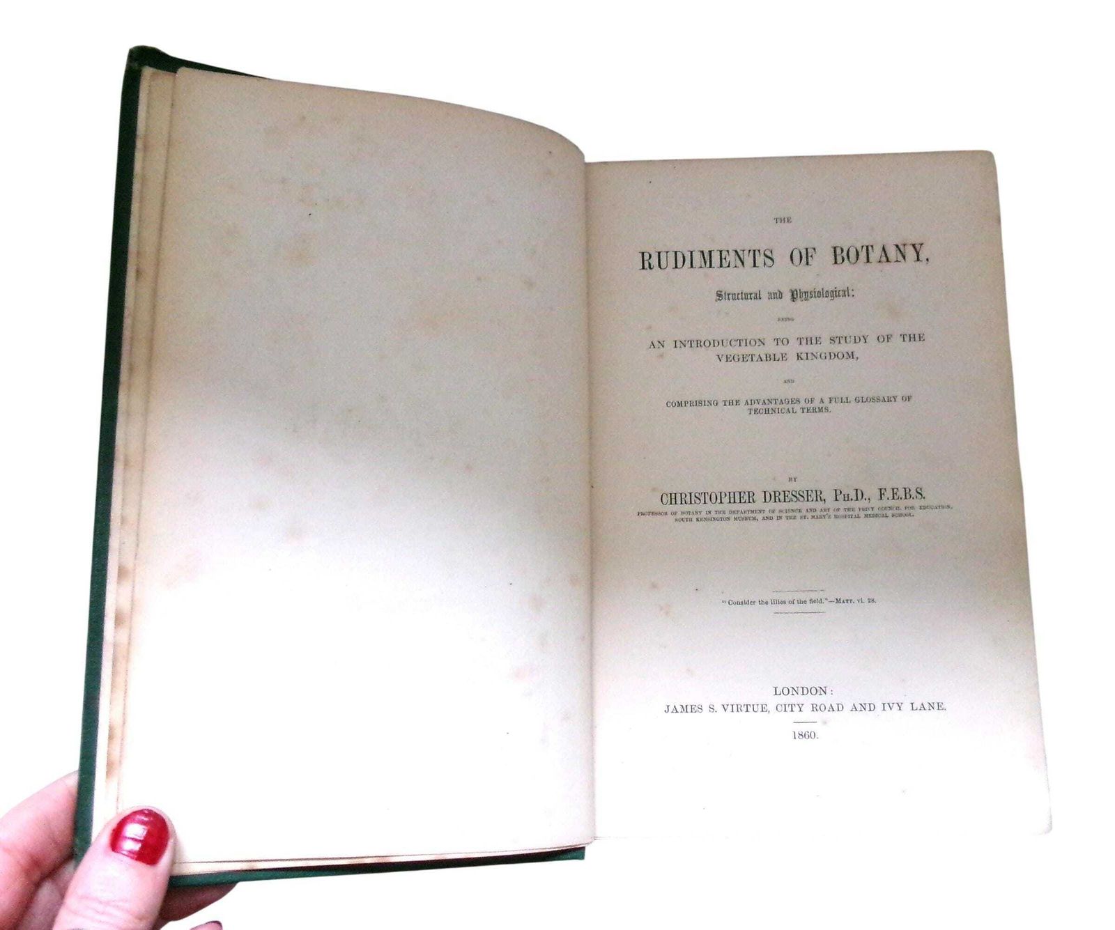 Rare 1860 Christopher Dresser Rudiments Of Botany Book, Victorian Designer & Botanist photo furniture