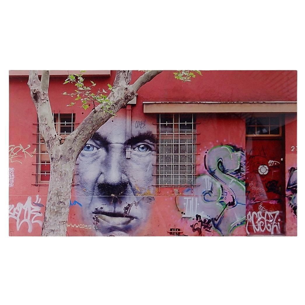 Photo Taken In Santiago In The Barrio Bellavista Neighborhood