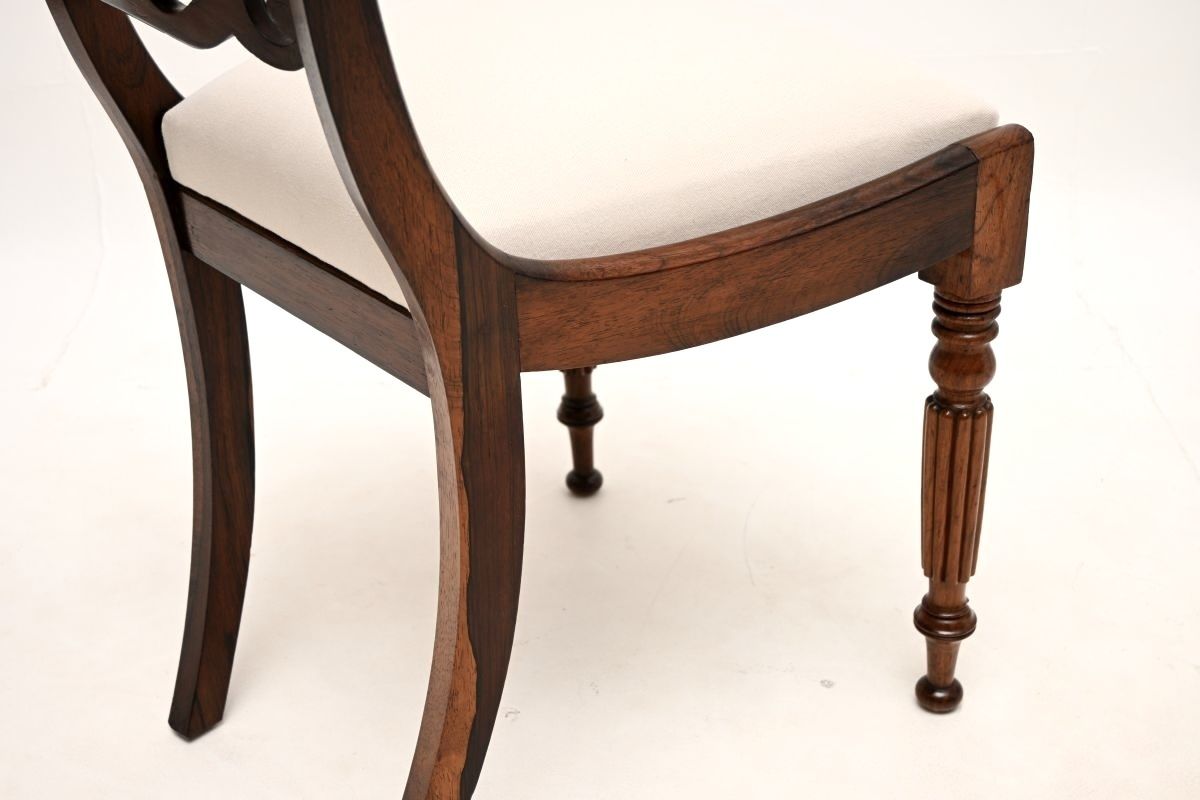 Set Of Four Antique Regency Period Rosewood Dining Chairs photo vintage
