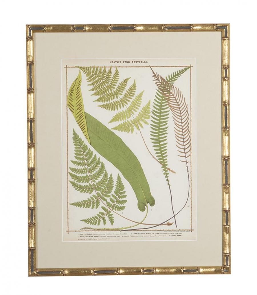 Collection Of Nine 19th Century Life Size Ferns By Francis George Heath photo 3800.0