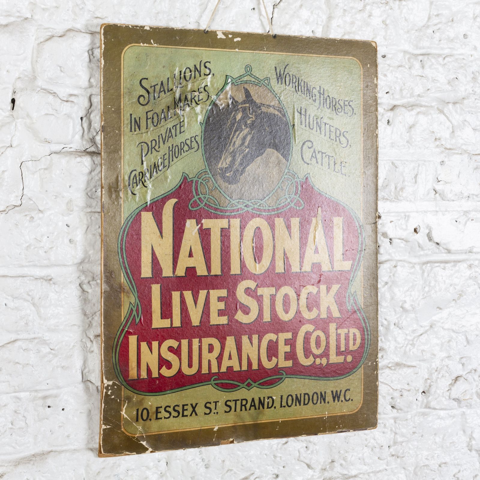 National Live Stock Insurance Show Card photo for sale