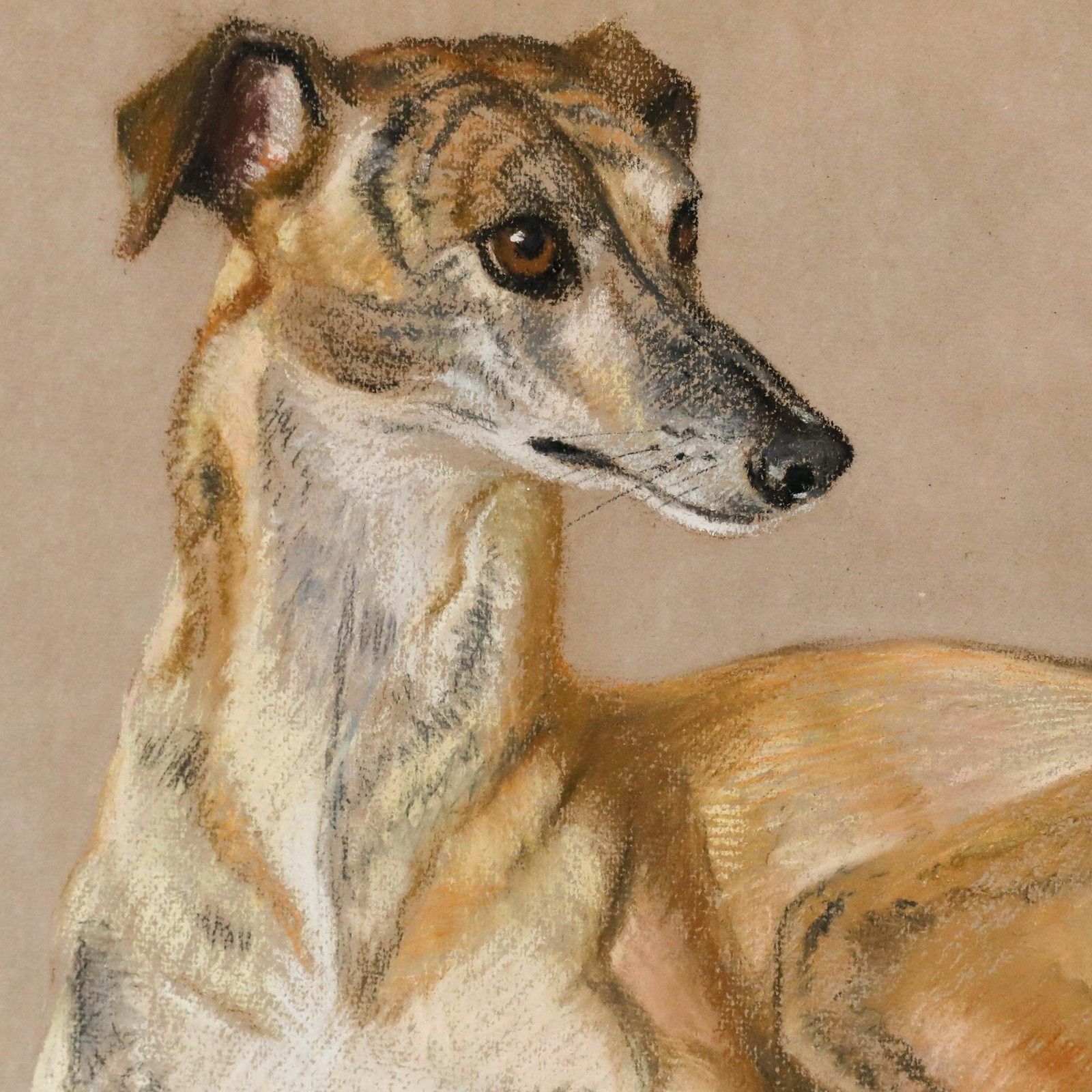 Attrib. David Denyer Framed Mid 20th Century Pastel, Pauline The Whippet photo Art