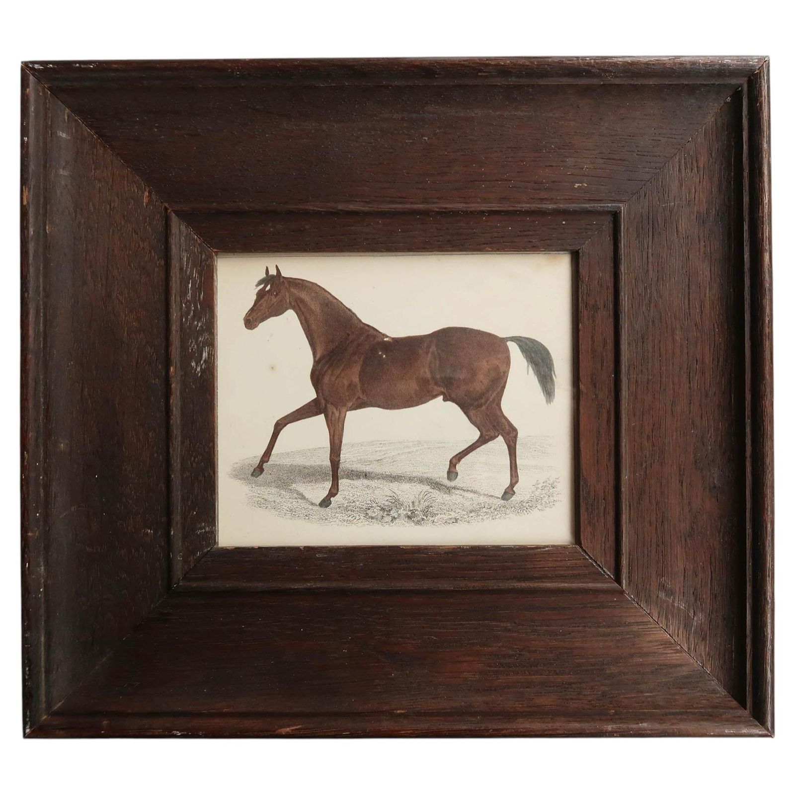 Original Antique Framed Print Of A Racehorse, 1847