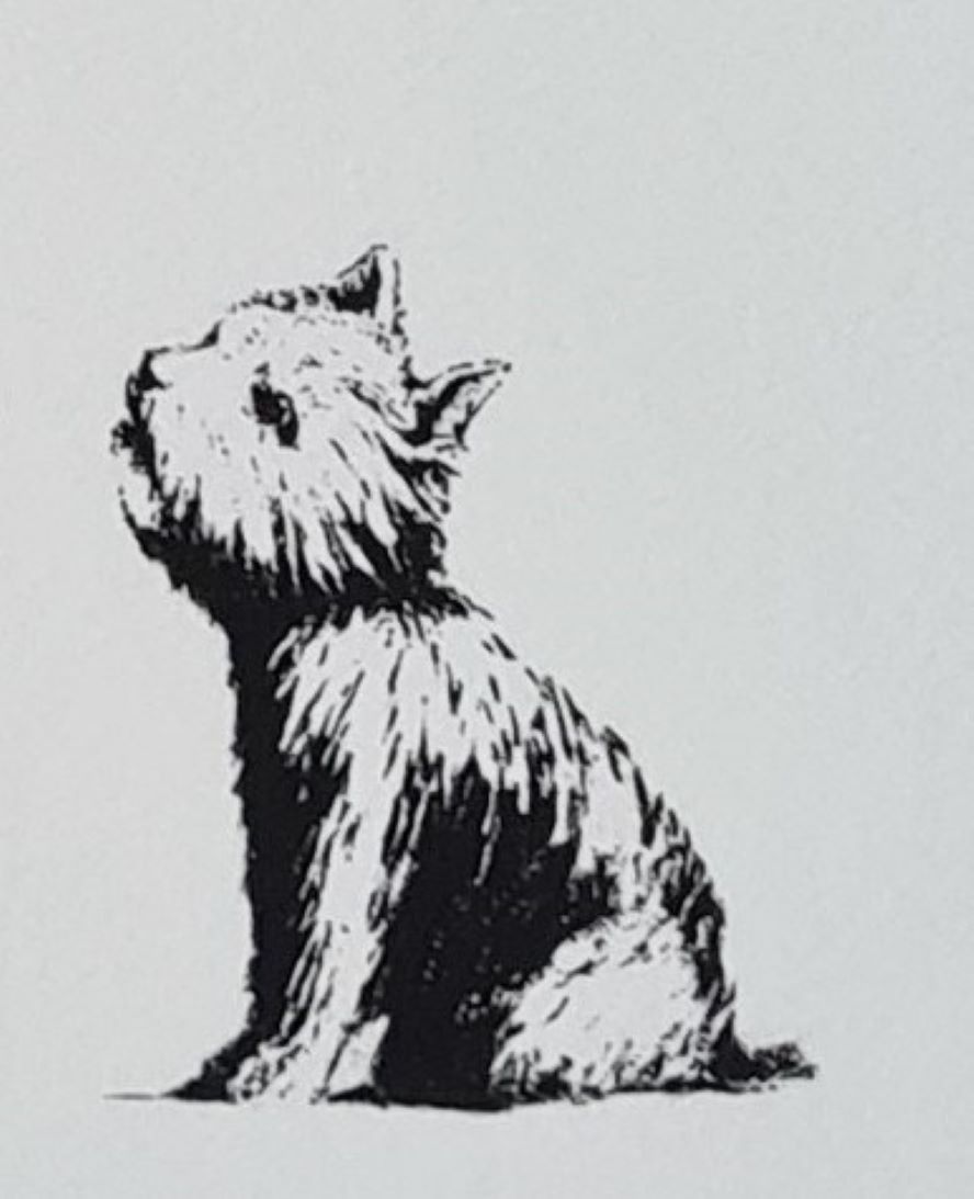 Banksy * Stop And Search * 50 X 40 Cm *Lithografie*Kunstdruck*Limitiert # 20/600 photo vinterior