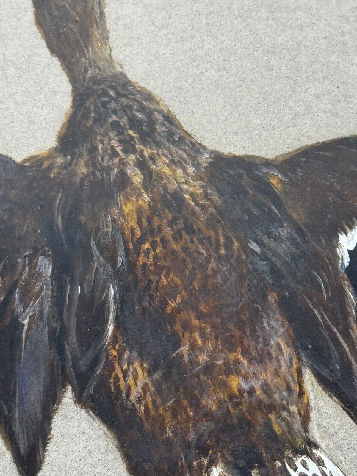 5600.0 Victoriaans schilderij, jachtvogels, twee opvliegende eenden, Thomas Blinks photo