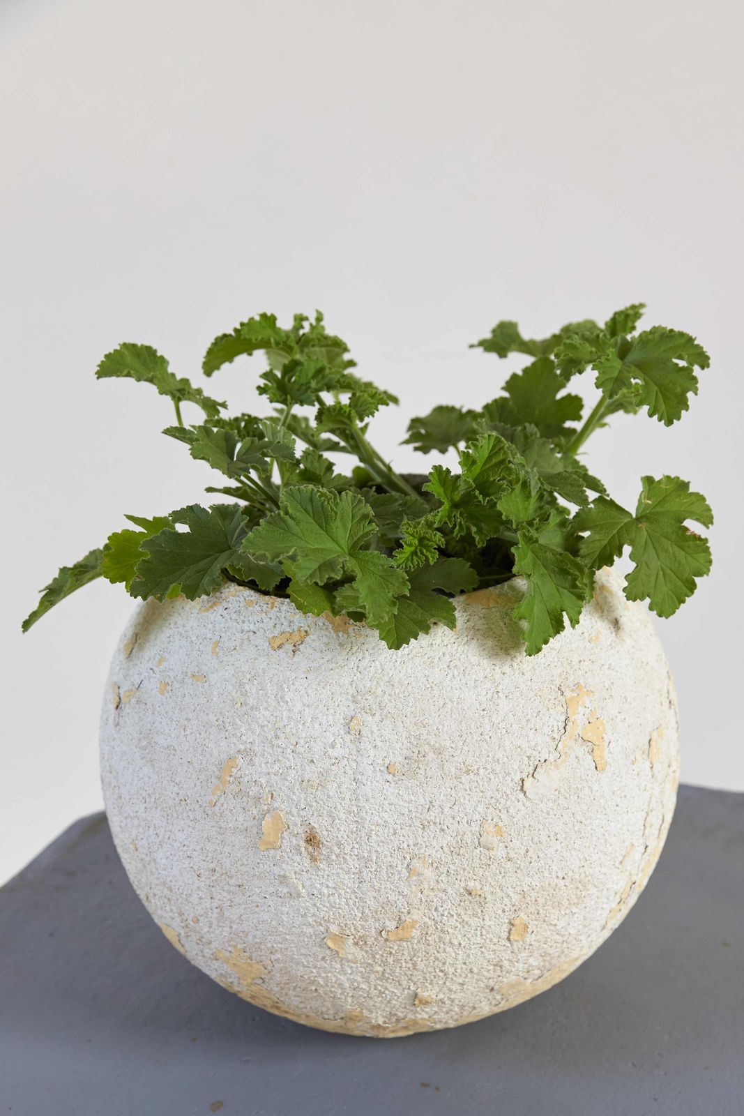 Mid Century French Concrete Ball Planters, C1950 (Individually Priced) photo furniture