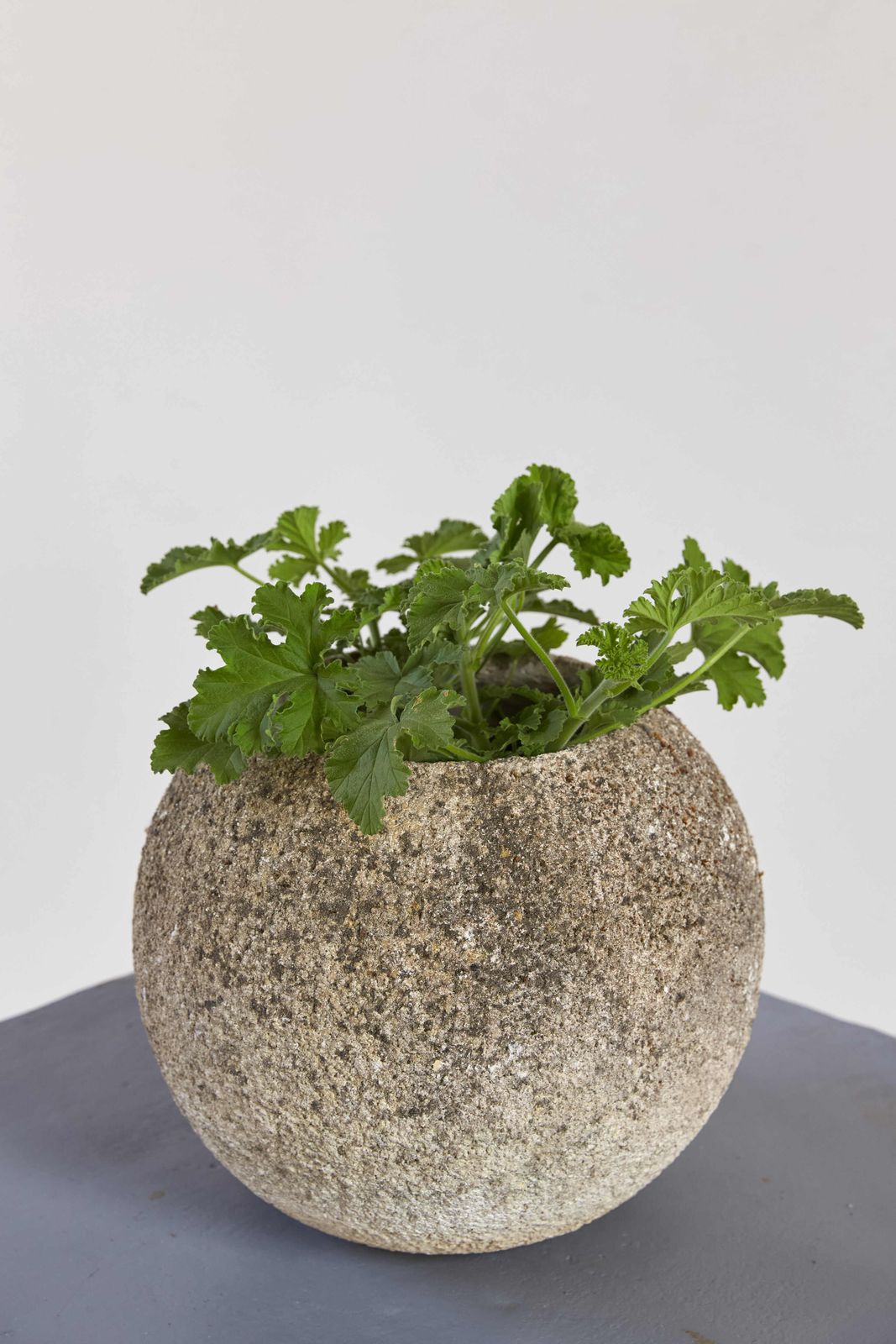 Mid Century French Concrete Ball Planters, C1950 (Individually Priced) photo buy