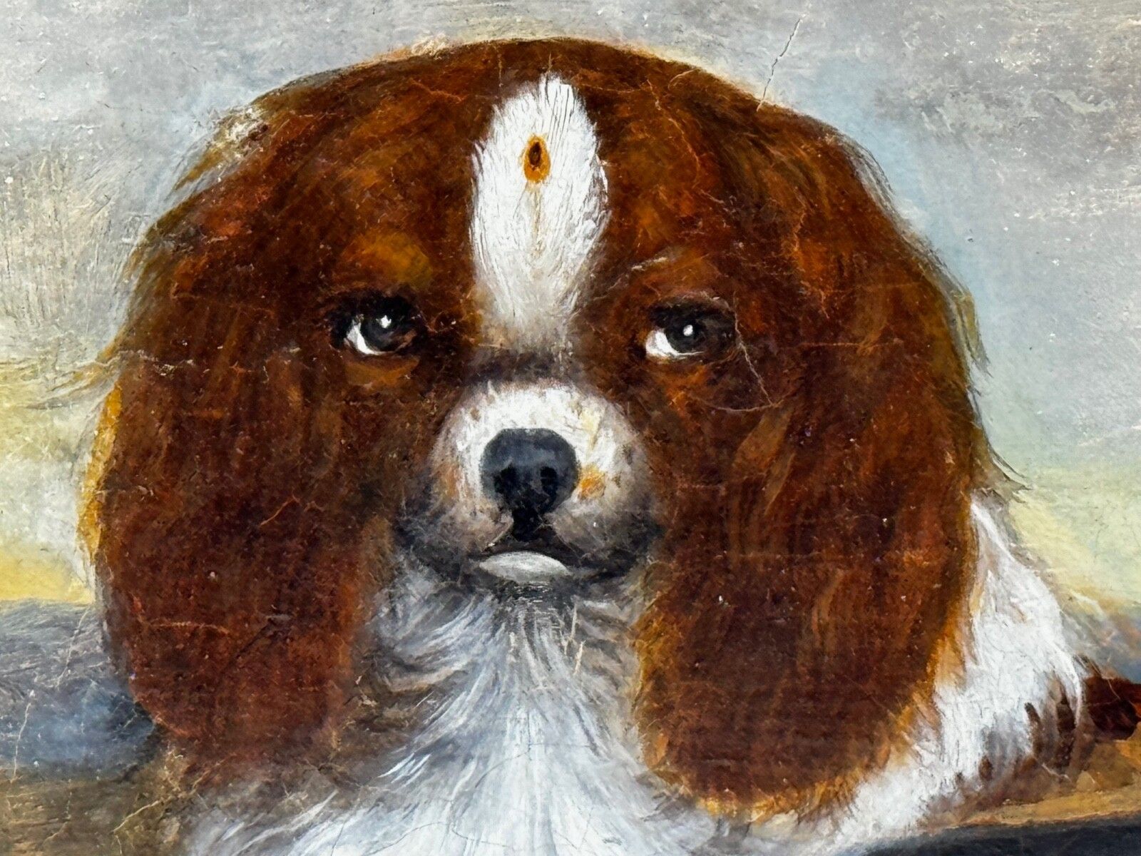 photo buy 19e-eeuws olieverfschilderij, dierenportret van King Charles Spaniëls