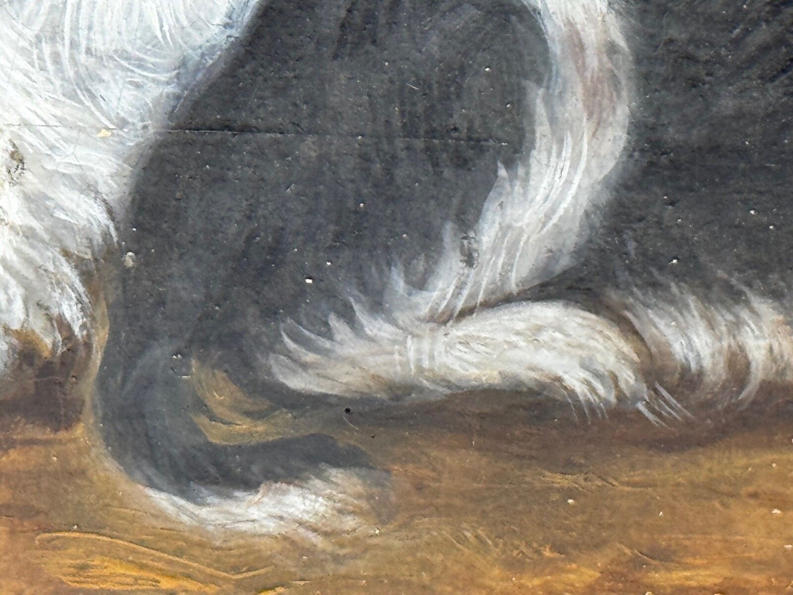 photo vintage 19e-eeuws olieverfschilderij, dierenportret van King Charles Spaniëls