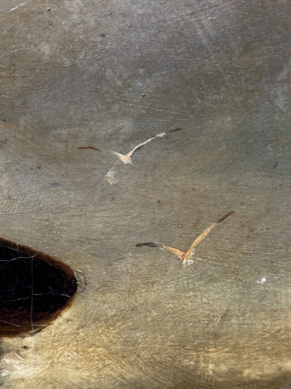 photo vinterior 19e-eeuws marien olieverfportret Cornish visser met vangst, Richard Harry Carter