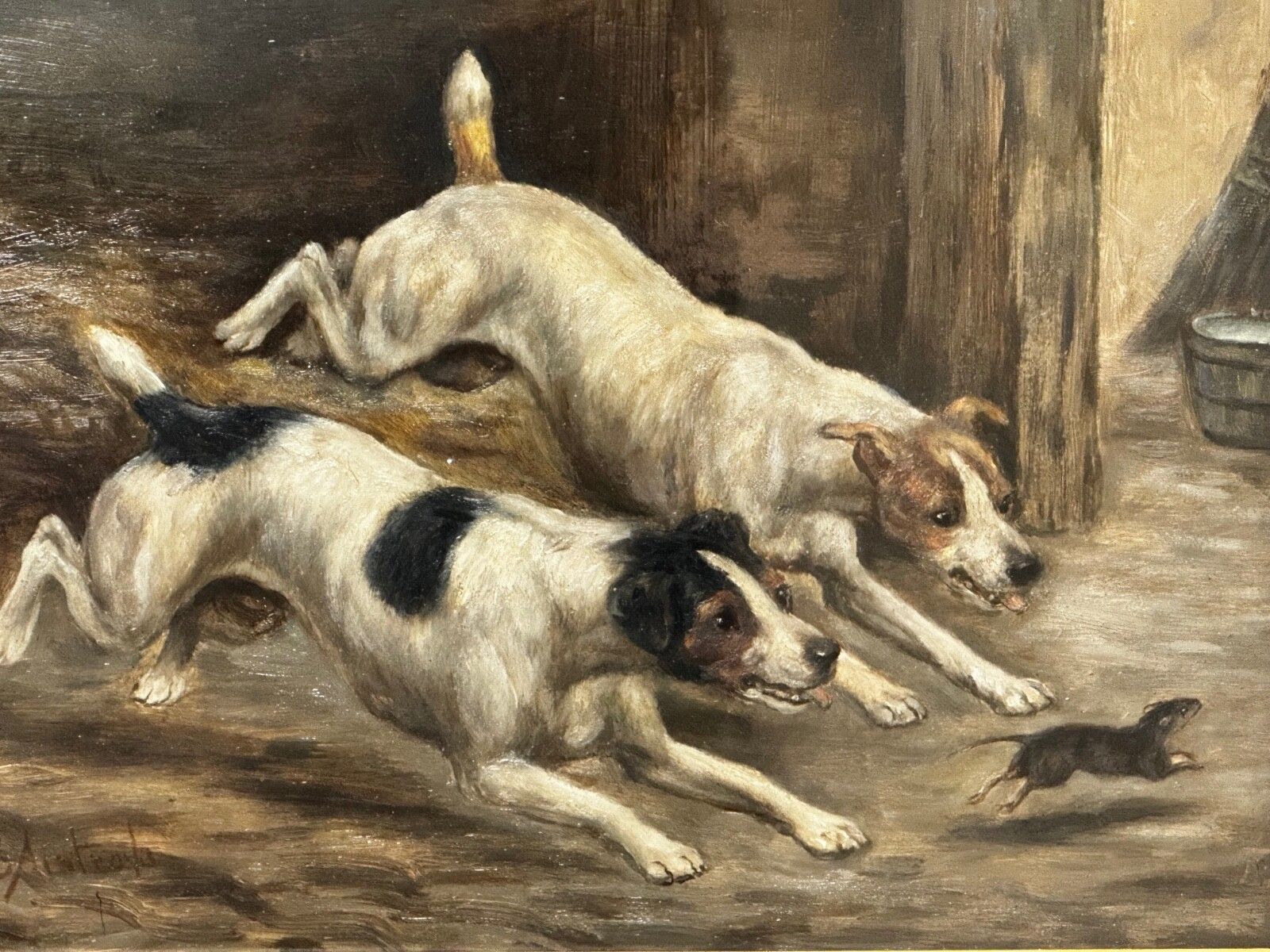 19th Century Hunting Oil Painting Two Jack Russell Terrier Dogs Chasing Rat In Barn Signed By Edward Aistrop photo furniture