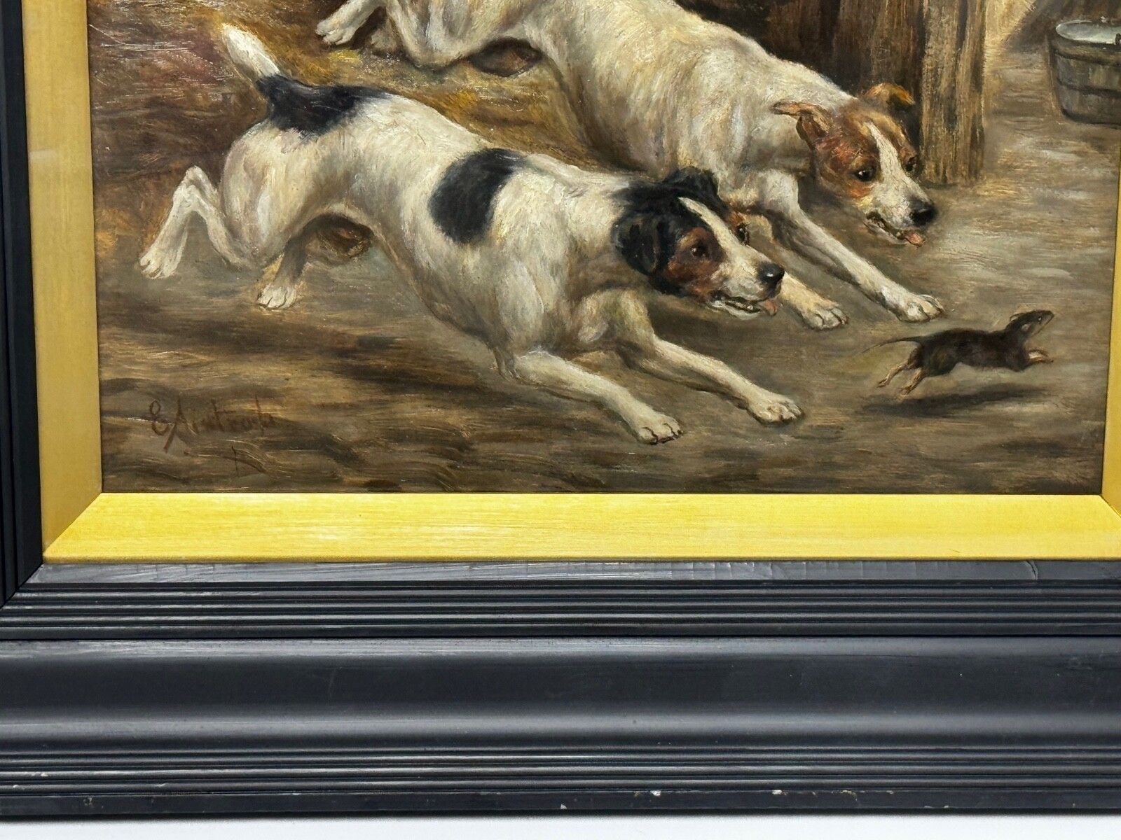 19e-eeuws jachtschilderij in olieverf, twee Jack Russell Terrier honden die een rat achtervolgen in een schuur, gesigneerd door Edward Aistrop photo Kunst
