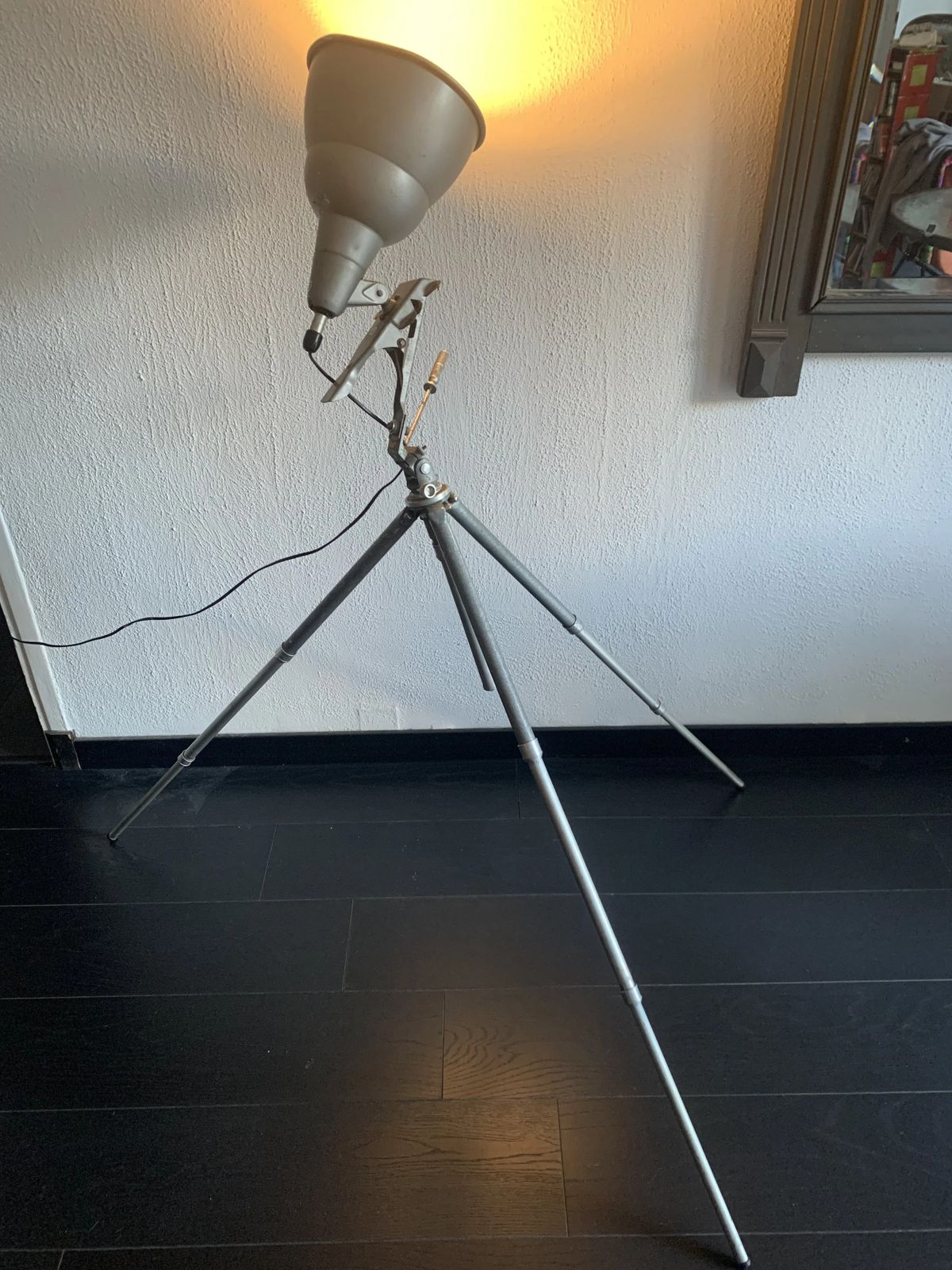 Vintage 1950s Lita Industrial Photo Studio Spotlight Floor Lamp   130 Cm photo 139.0